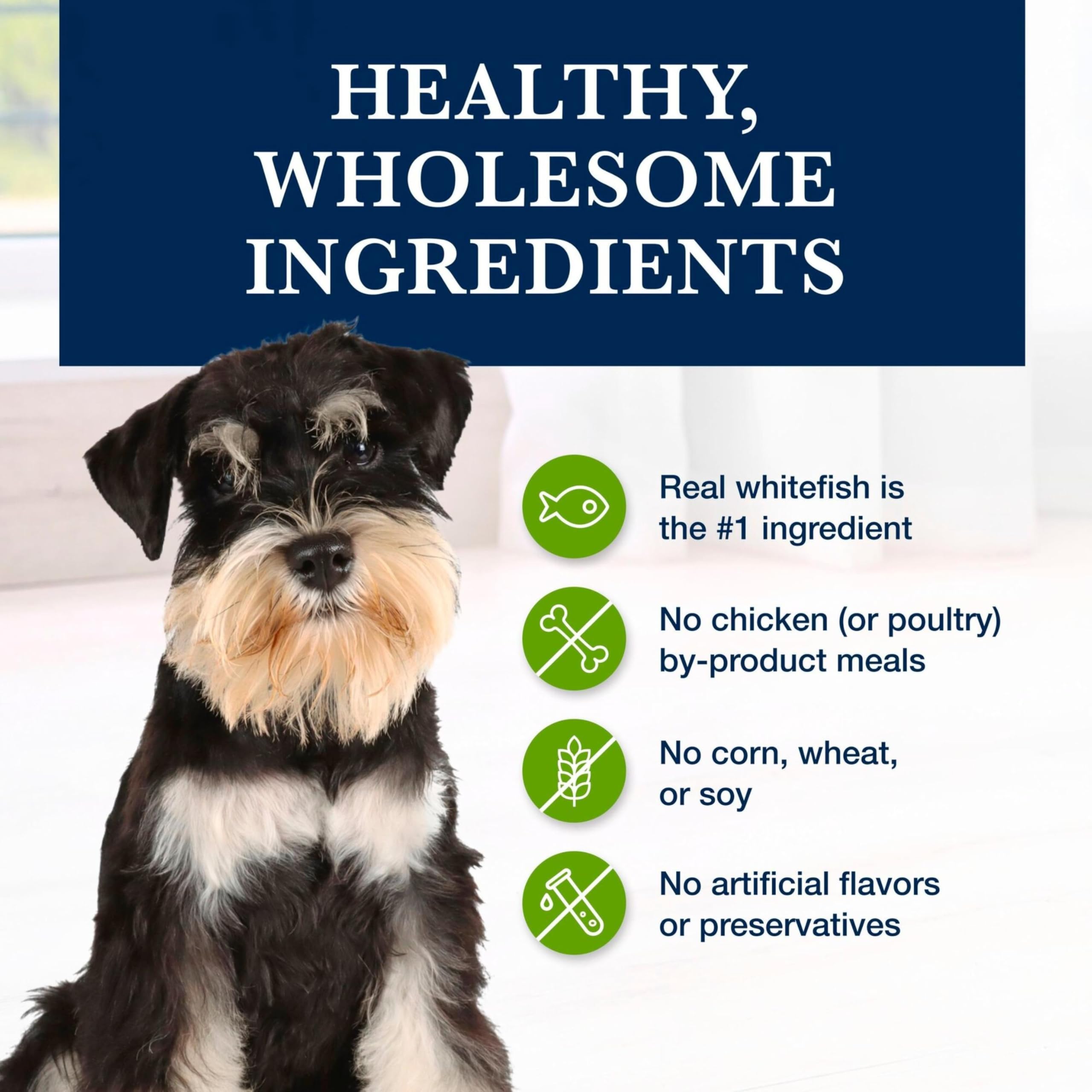 Blue Buffalo GI Low Fat Dry Dog Food, Whitefish, 6-lb Bag, Veterinarian Prescription Required