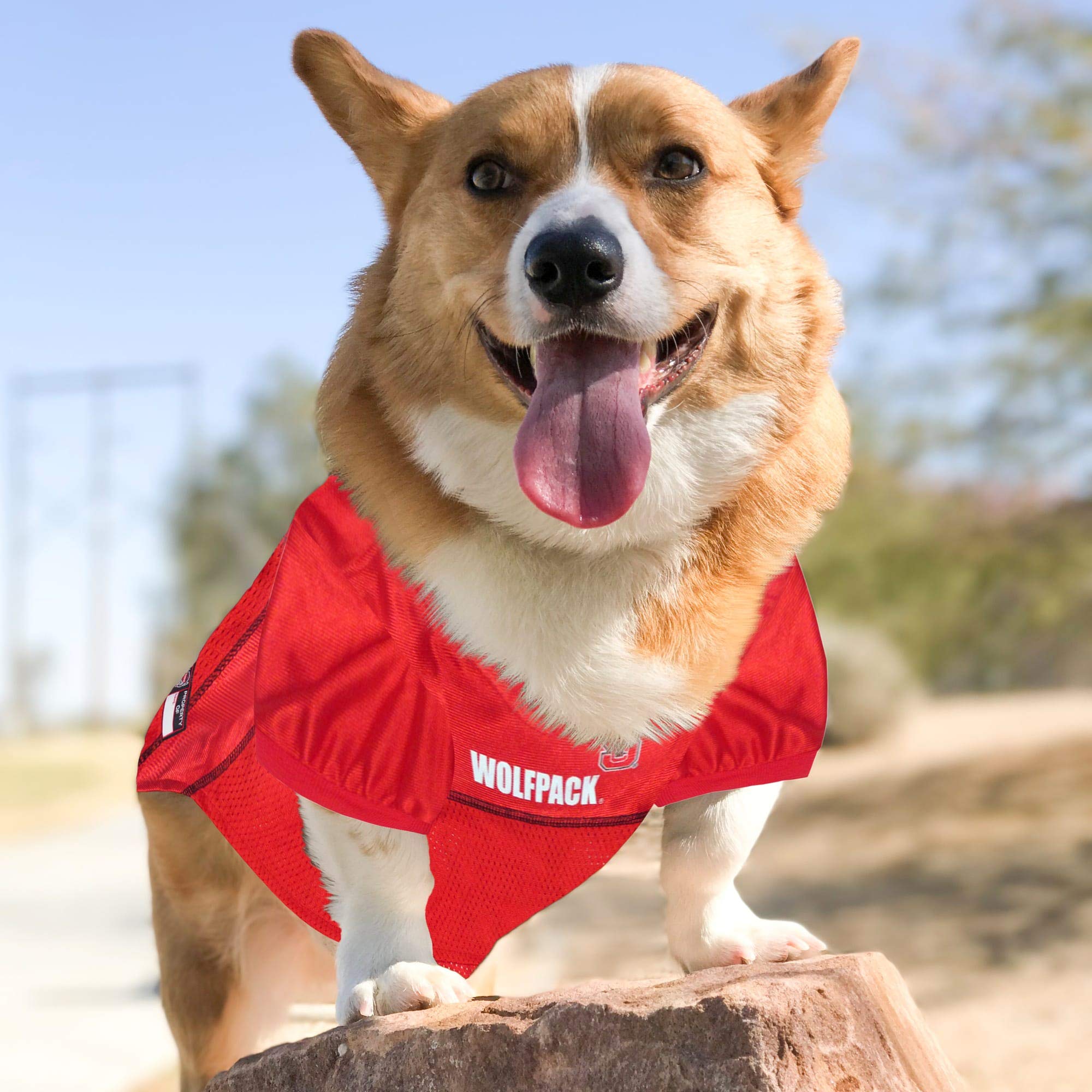 Pets First NCAA College North Carolina State Wolfpack Mesh Jersey for DOGS & CATS, XX-Large. Licensed Dog Jersey with your Favor