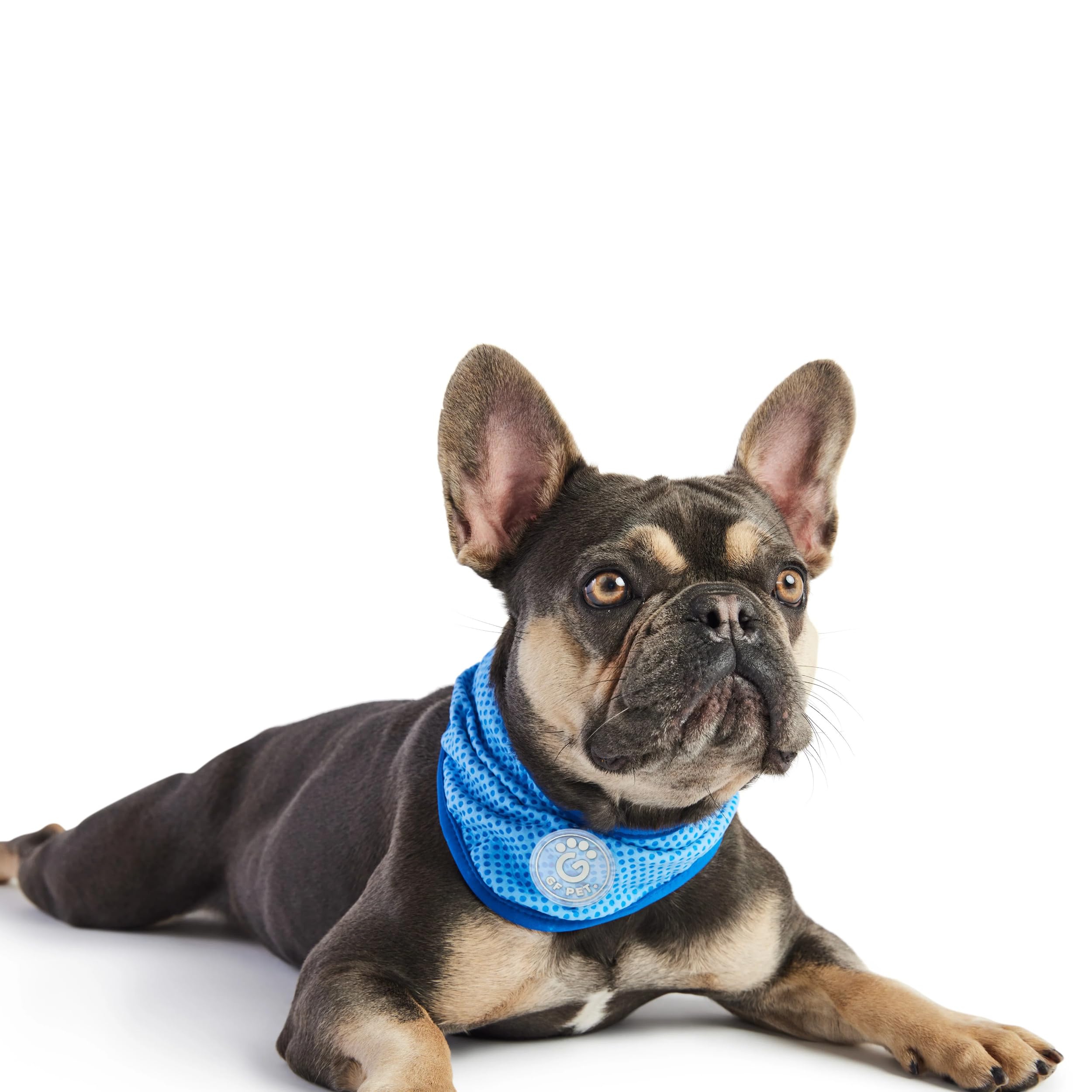 Gf Pet Ice Dog Bandana, Small/Medium