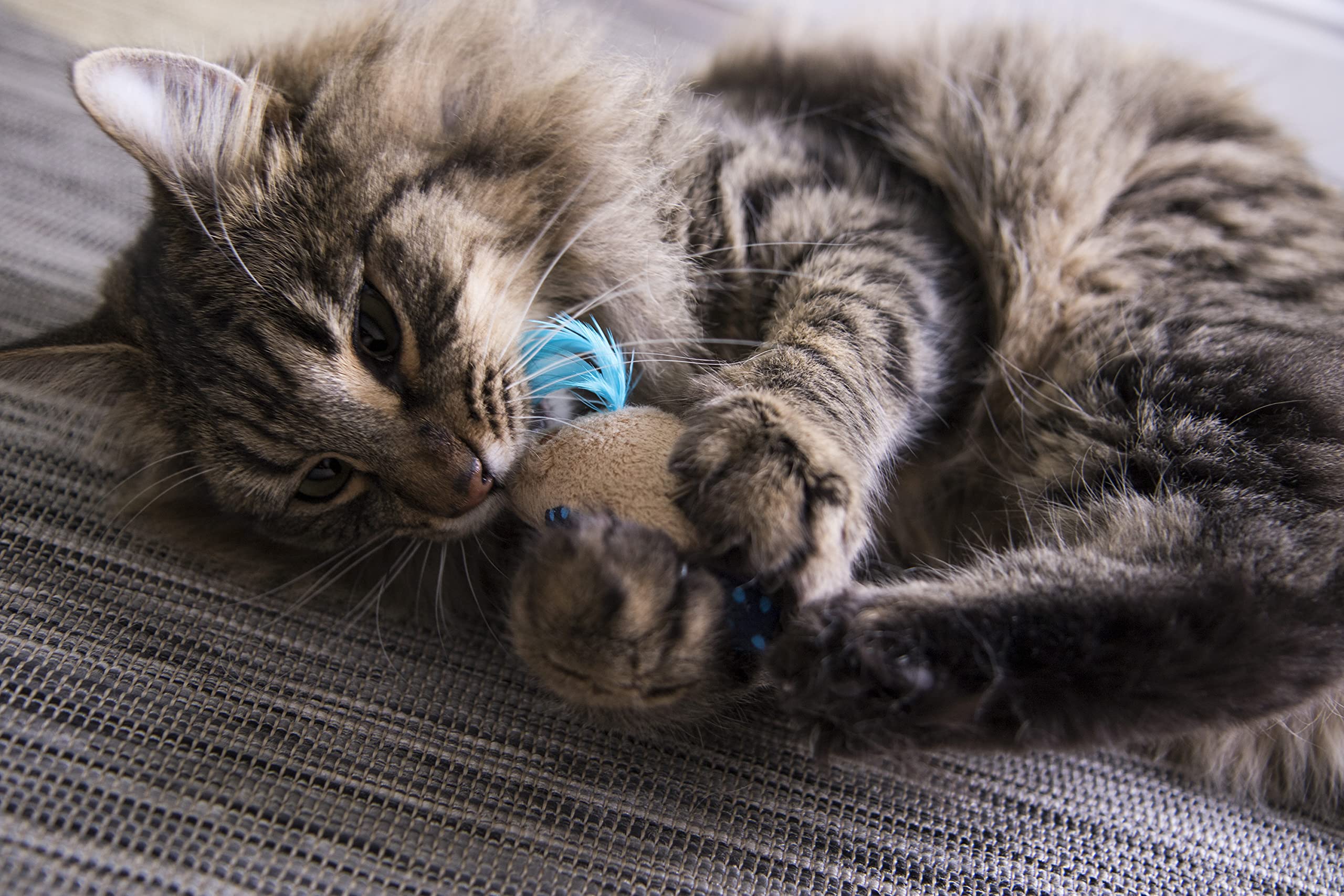 Smartykat (2 Count Mouse Mates Plush Catnip Cat Toys - Brown/Gray, 2 Count