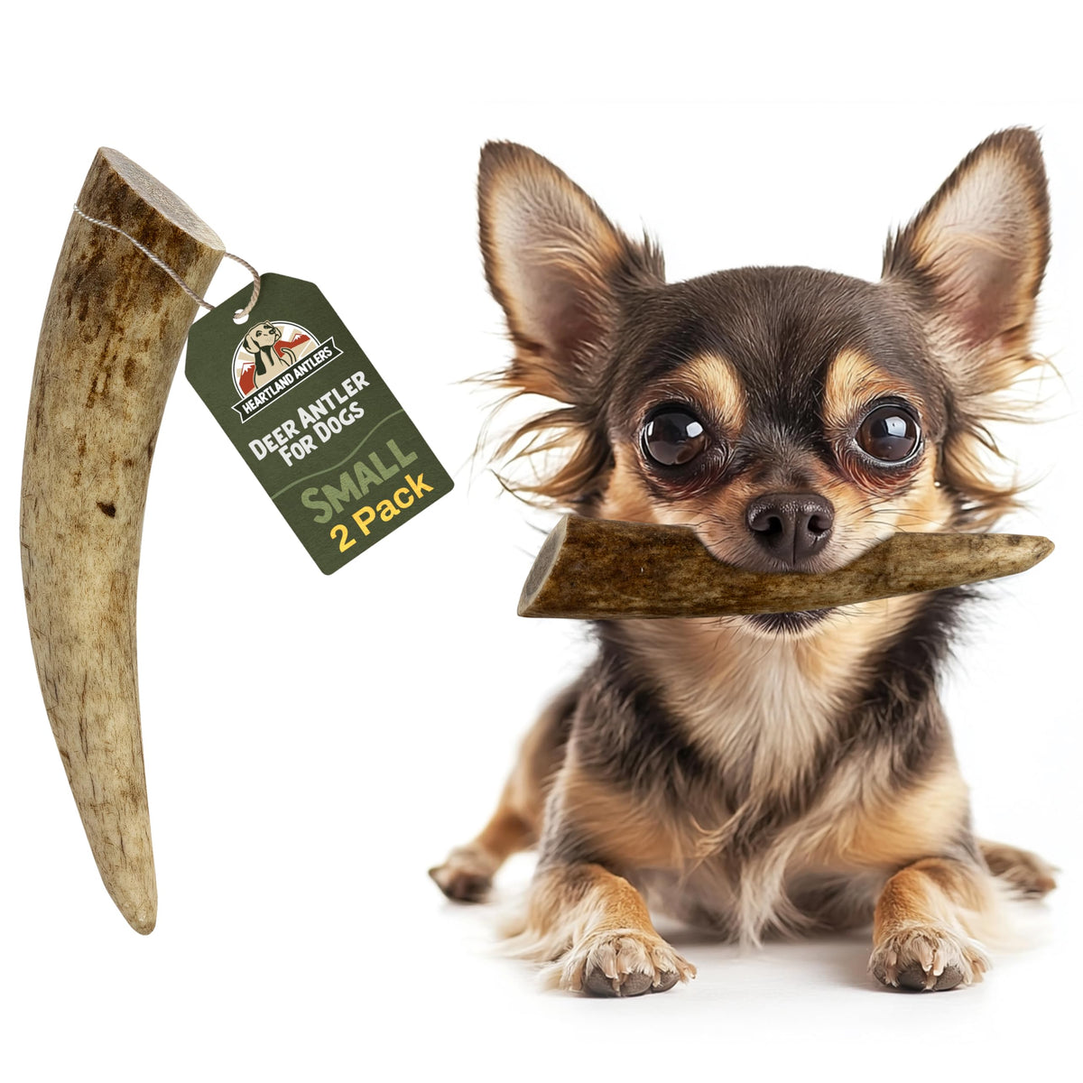 Heartland Deer Antlers For Dogs (Small, 4-5', Deer, 2-Pack) - Grade A, Naturally Shed | Odor-Free Chew Toy For Puppies & Aggres