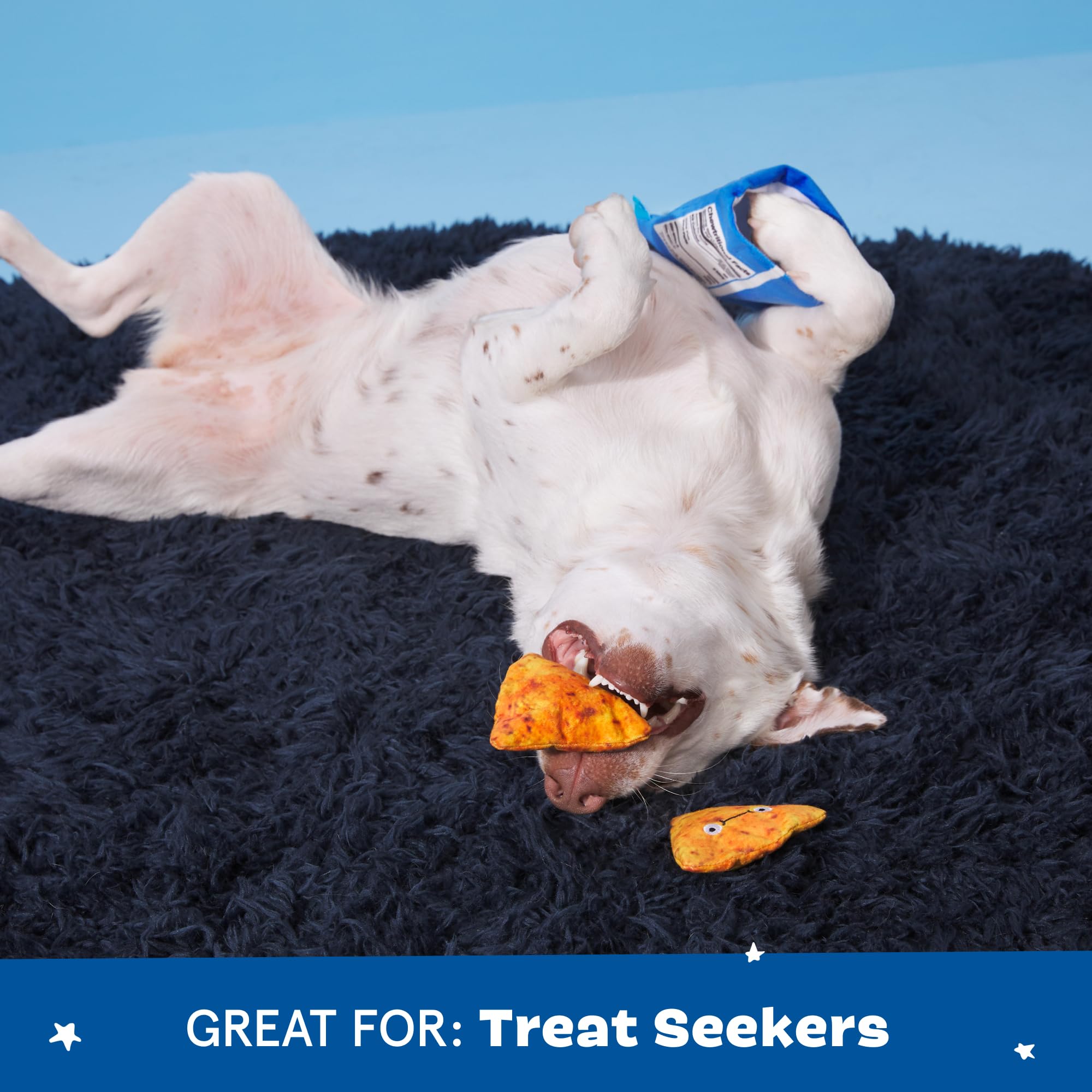 Barkbox Bark Drool Ranch Chips Holiday Plush Dog Toy | Squeaky Fun For Medium Dogs