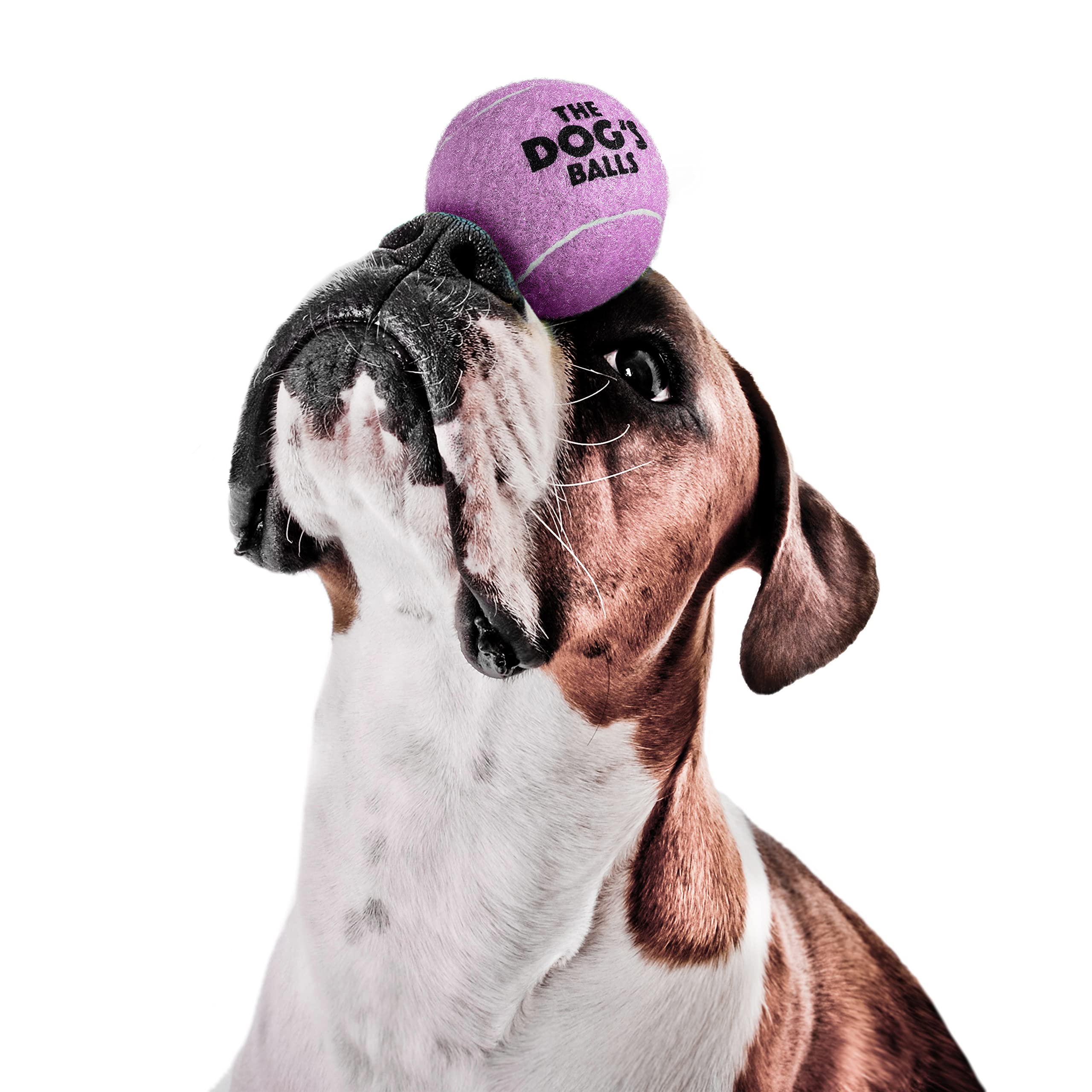 The Dog'S Balls, Dog Tennis Balls, 12-Pack Lilac Dog Toy, Strong Dog & Puppy Ball For Training, Play, Exercise & Fetch