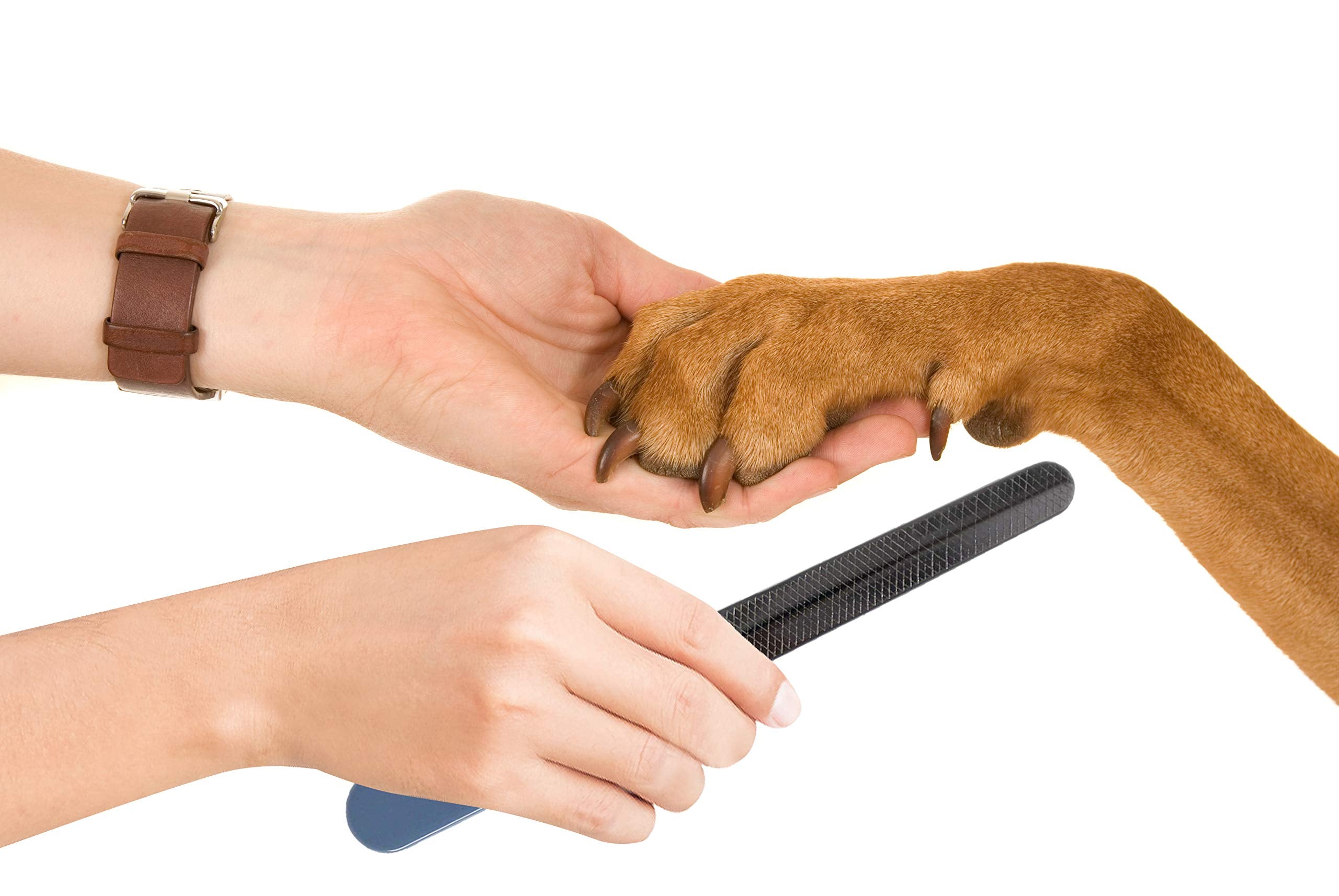 Pets First Pets Professional Nail File For Dogs & Cats | Painless Yet Effective | Compact & Lightweight | For Long Or Short Nail