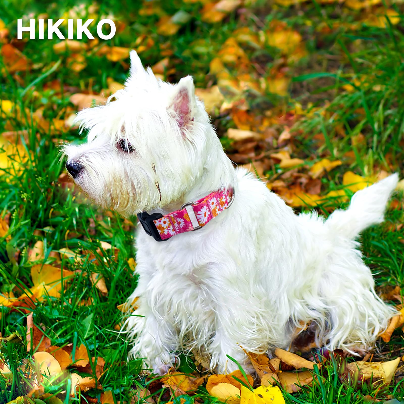 Hikiko Martingale Collar For Dogs Cute Floral Dog Collar For Small Medium Large Dogs Spring Summer Daisy Dog Collars For Girl Fe