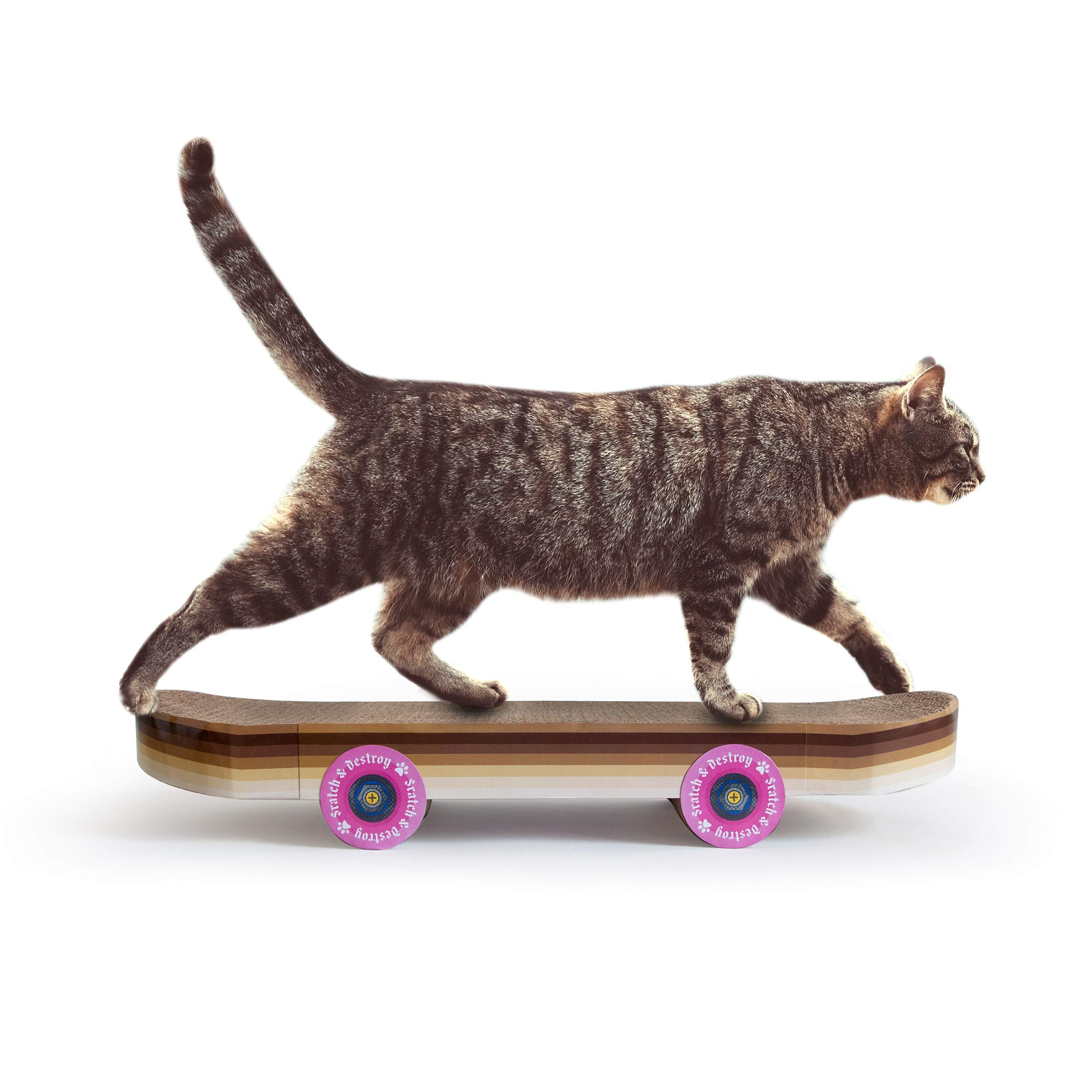 Suck UK Cat Scratcher Skateboard - Cardboard Cat Scratching Board, Multi Color, Model SK CATSKATE1, Funny Kitten Accessories