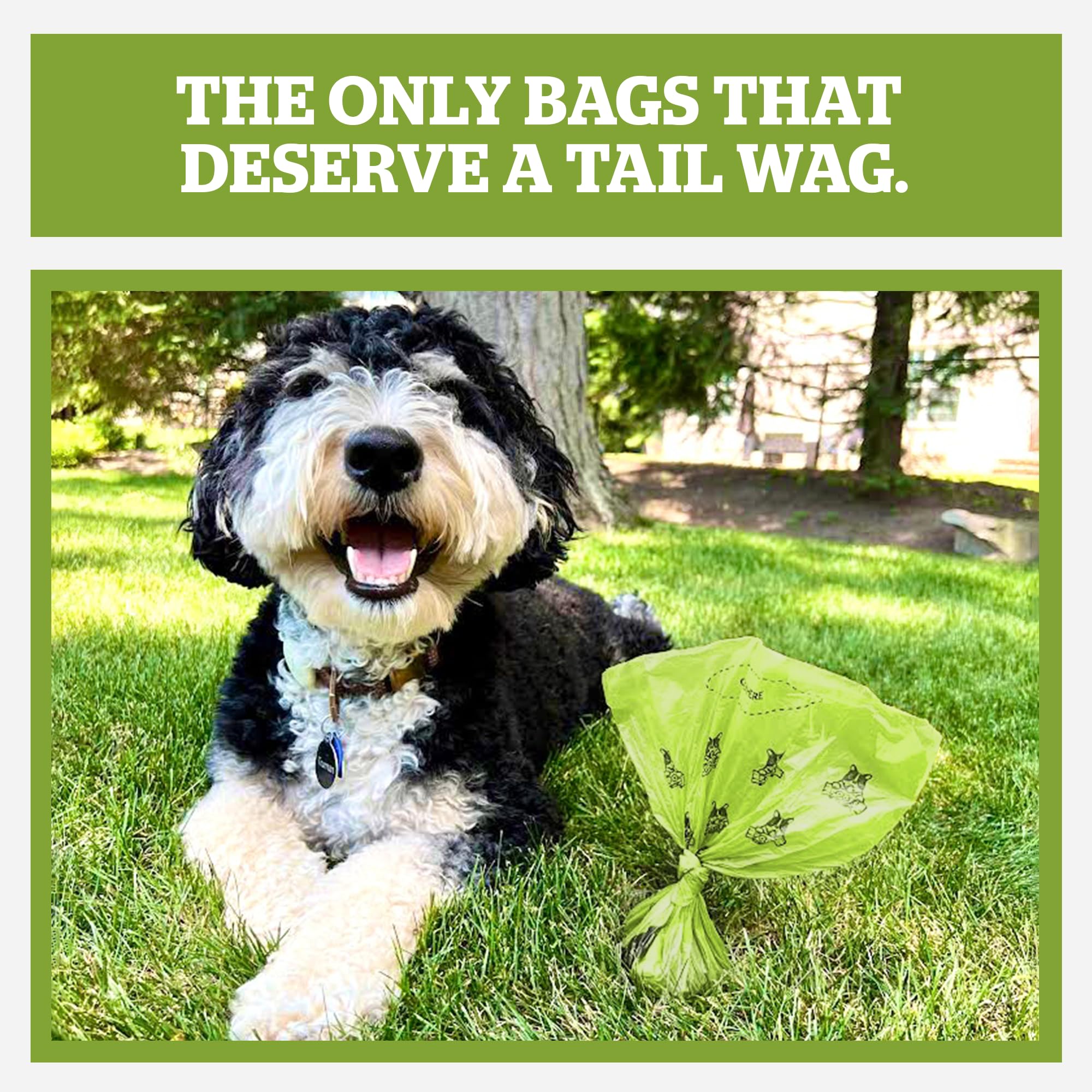 Pogis Dog Poop Bags - Leak-Proof & Extra Thick Pet Waste Bags (Fresh Scent, 10 Rolls, 150-Count)