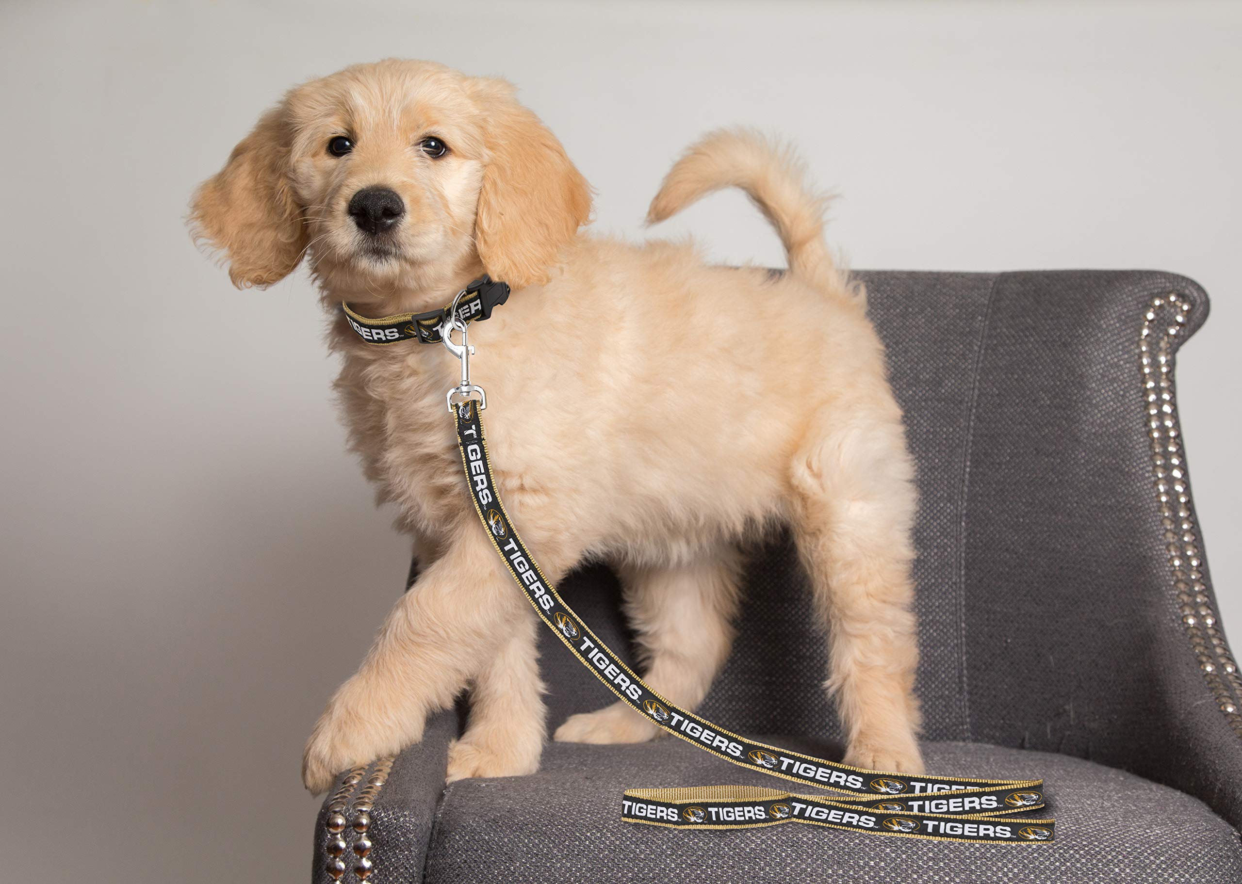 Pets First Collegiate Pet Accessories, Dog Leash, Missouri Tigers, Large