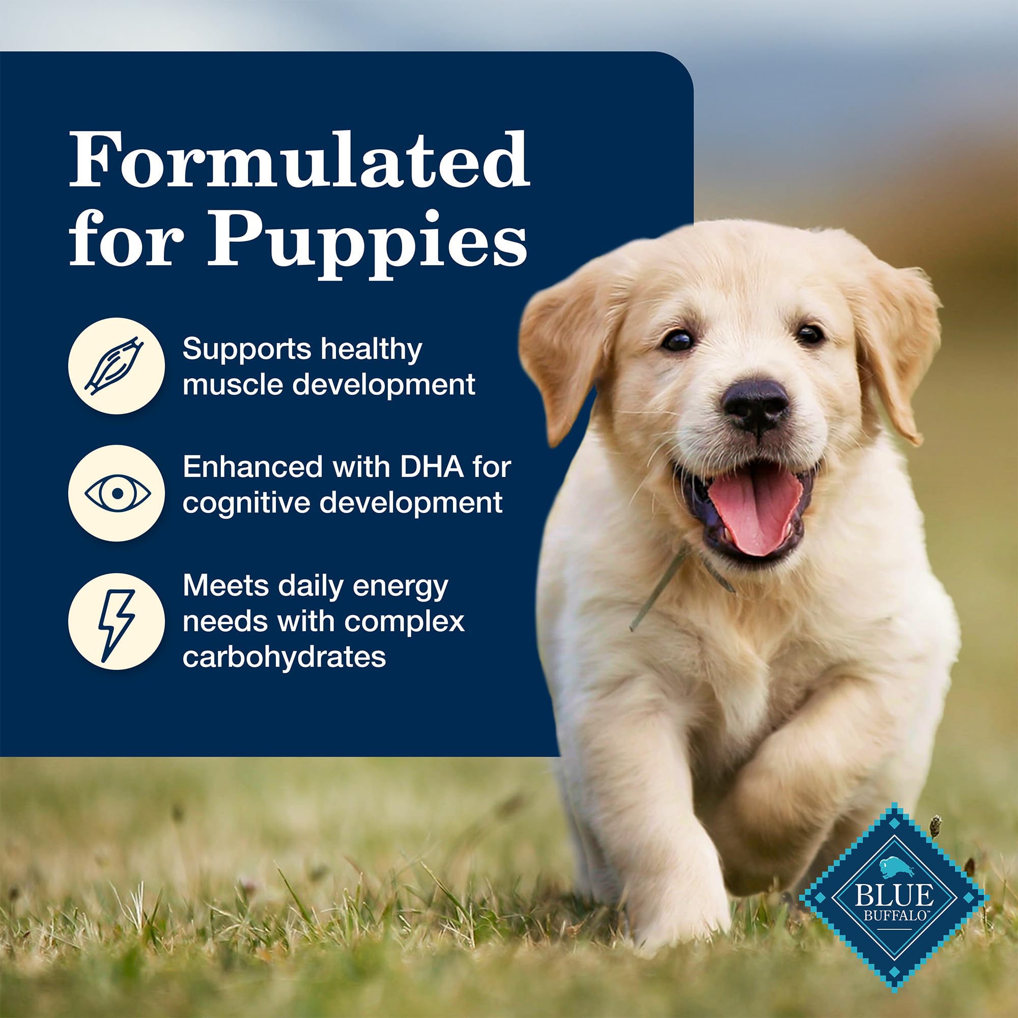 Blue Buffalo Homestyle Recipe Puppy Wet Dog Food, Made with Natural Ingredients, Chicken Dinner with Garden Vegetables & Brown R