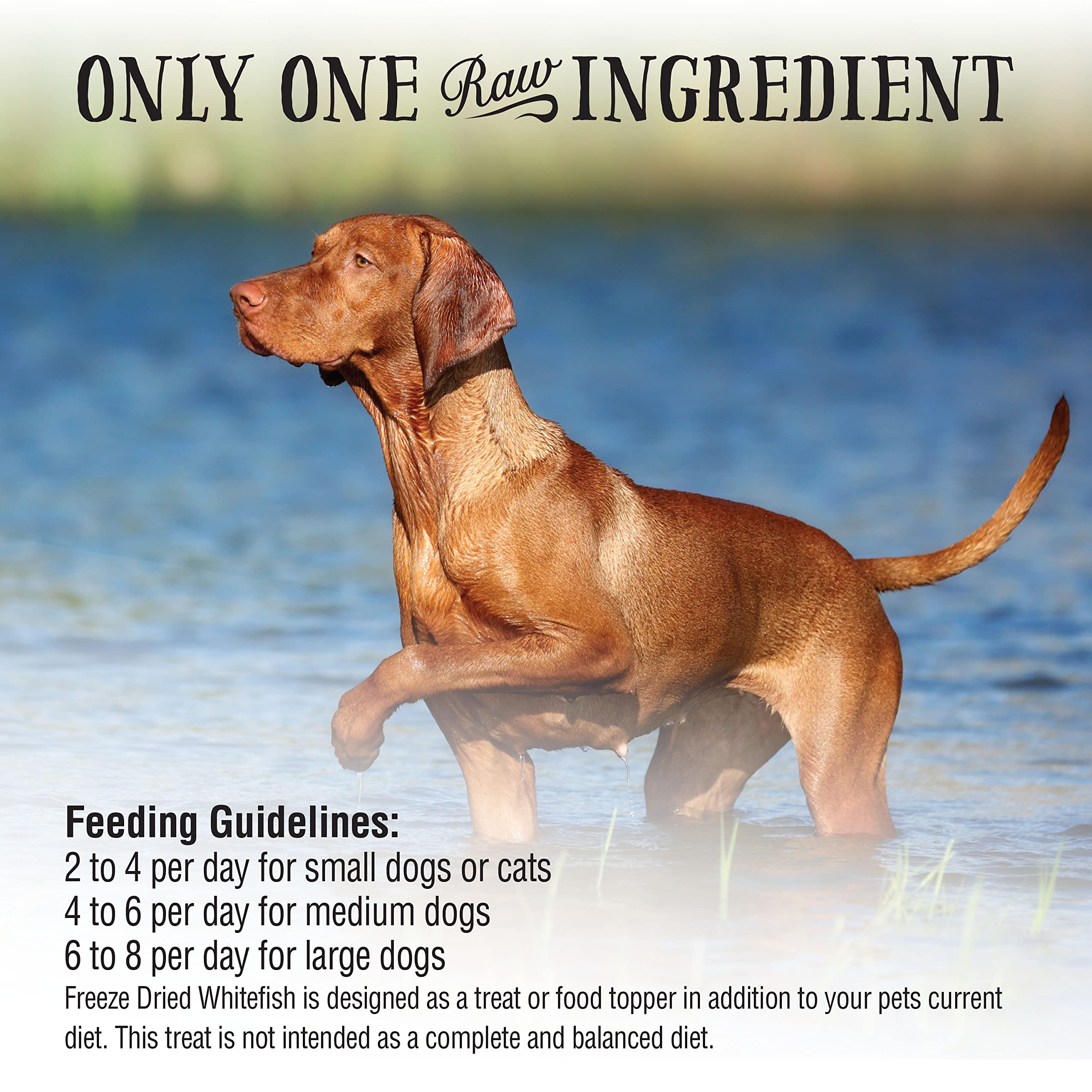 Northwest Naturals Raw Rewards Freeze-Dried Whitefish Treats for Dogs and Cats - Bite-Sized Pieces - Healthy, 1 Ingredient, Huma