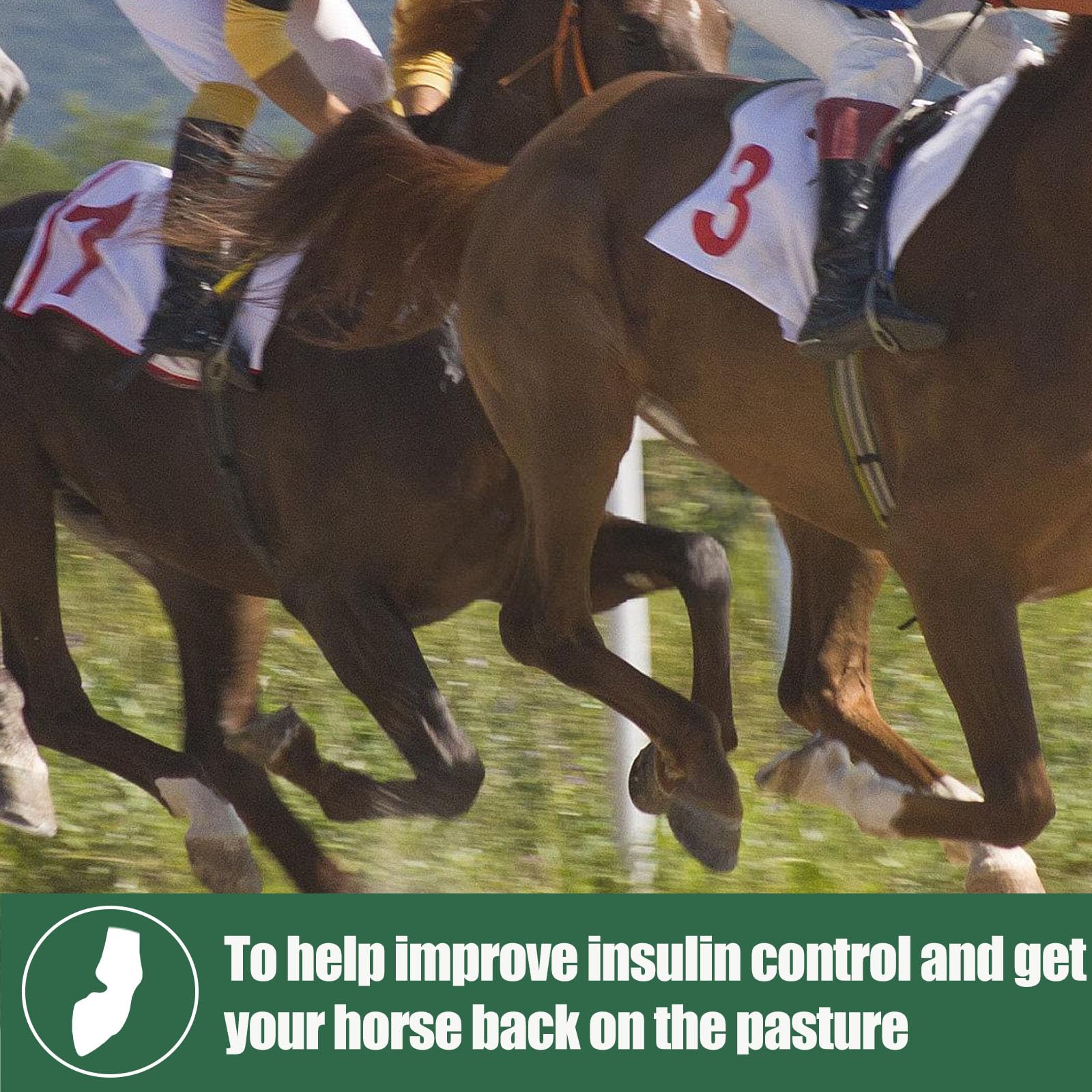 Insulin Resistance Supplement for Horses - Horse Laminitis Treatment-Natural Laminitis Herbal Powder for Sore Feet & Chronic Lam