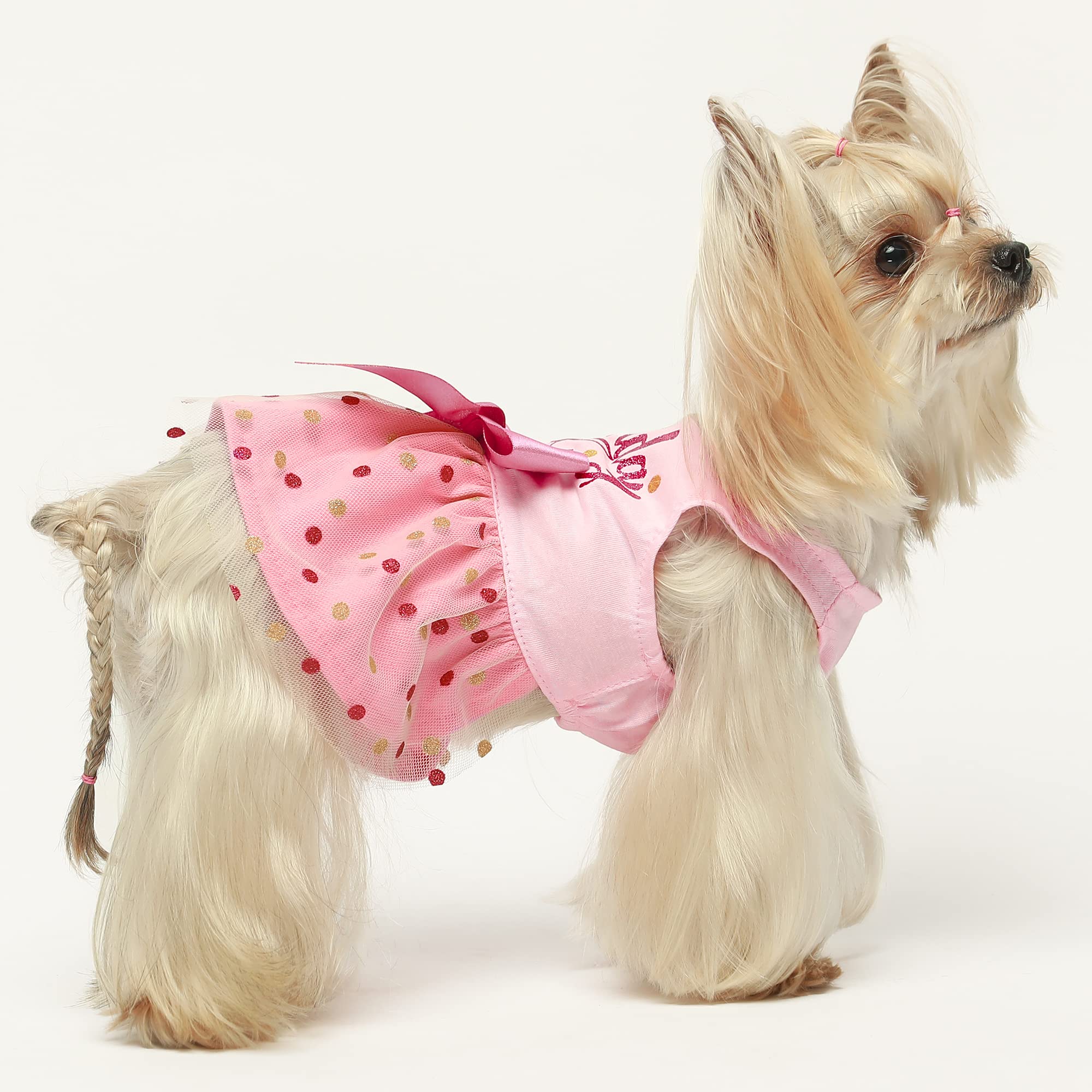 Fitwarm Birthday Girl Dog Tulle Dress, Dog Clothes For Small Dogs Girl, Cat Apparel, Pink, Xx-Small