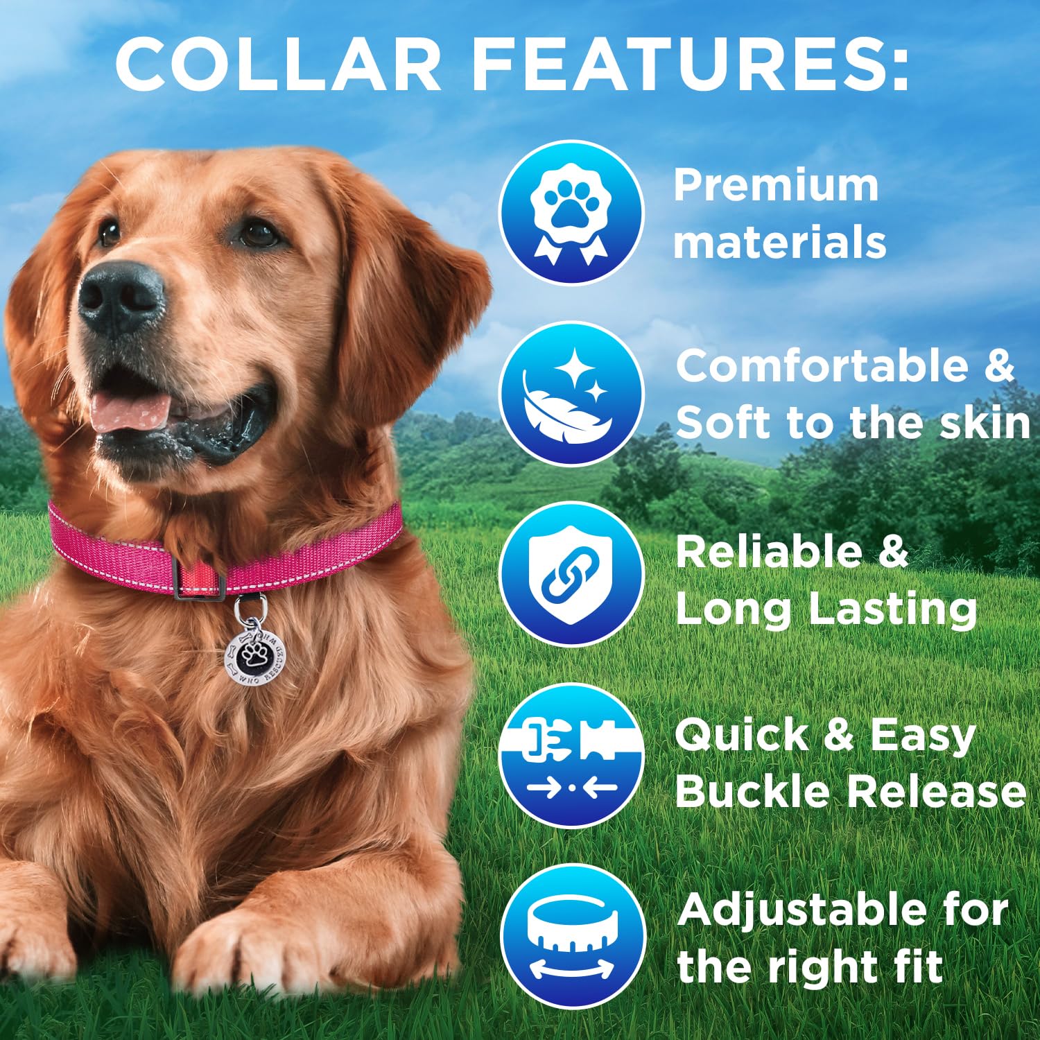 Teceum Reflective Dog Collar - Hot Pink - S - Basic Nylon Pet Collar - Quick Release Buckle - Fits Small, Medium And Large Dogs,