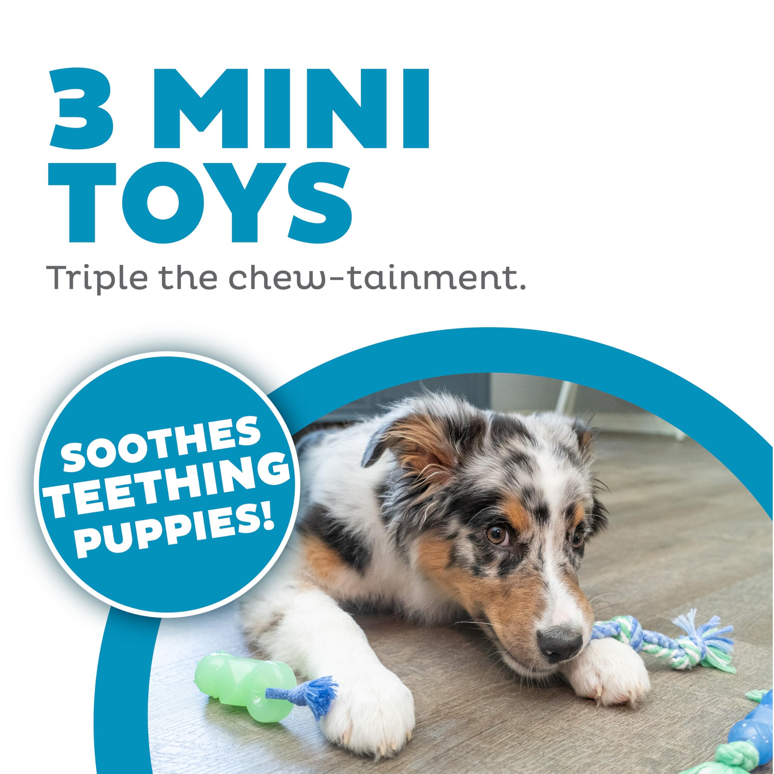Outward Hound Mini Dentachew Dental Dog Chew Toy - 3 Pack - Great Size For Small Dogs And Puppies