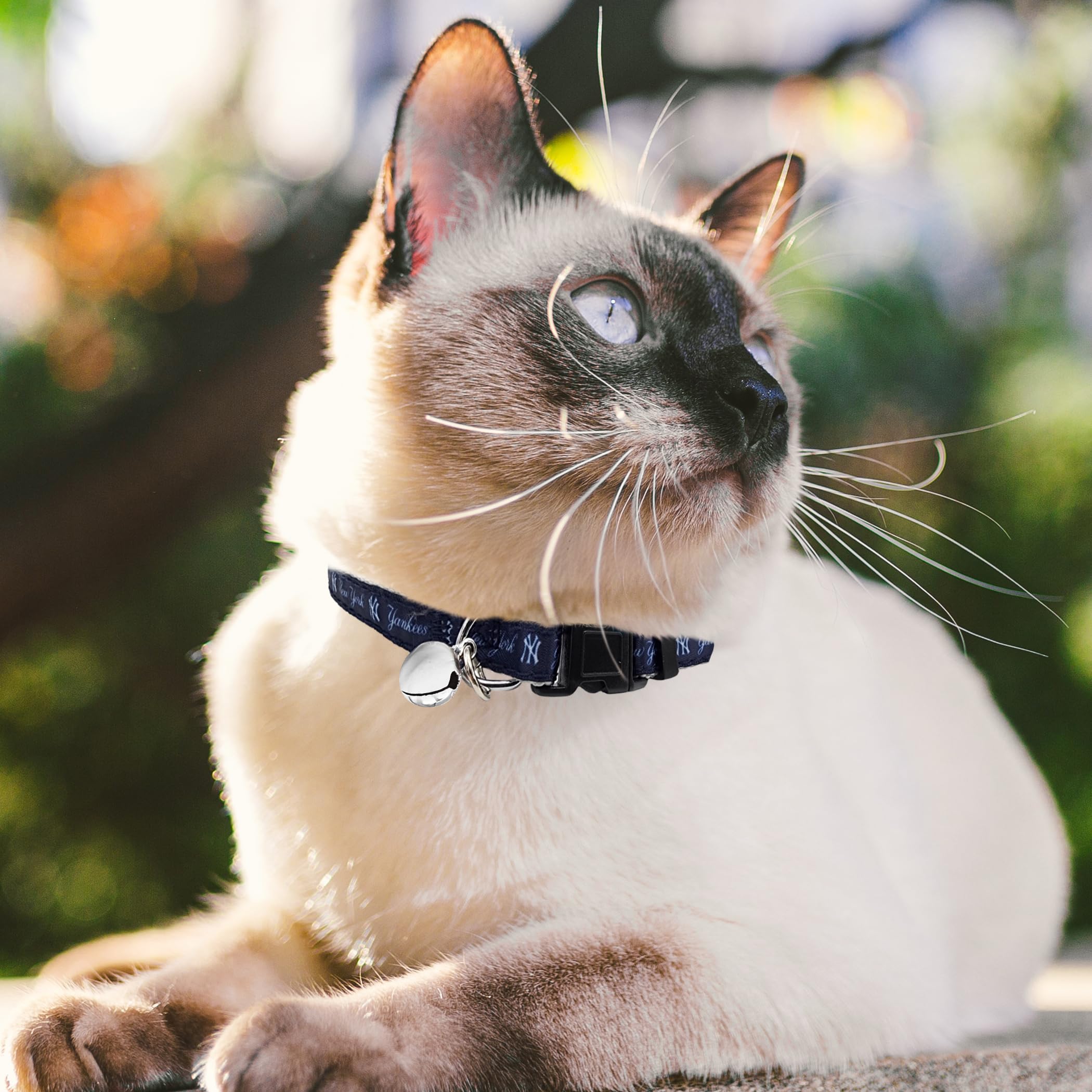Mlb Cat Collar New York Yankees Satin Cat Collar Baseball Team Collar For Dogs & Cats. A Shiny & Colorful Cat Collar With Ringin
