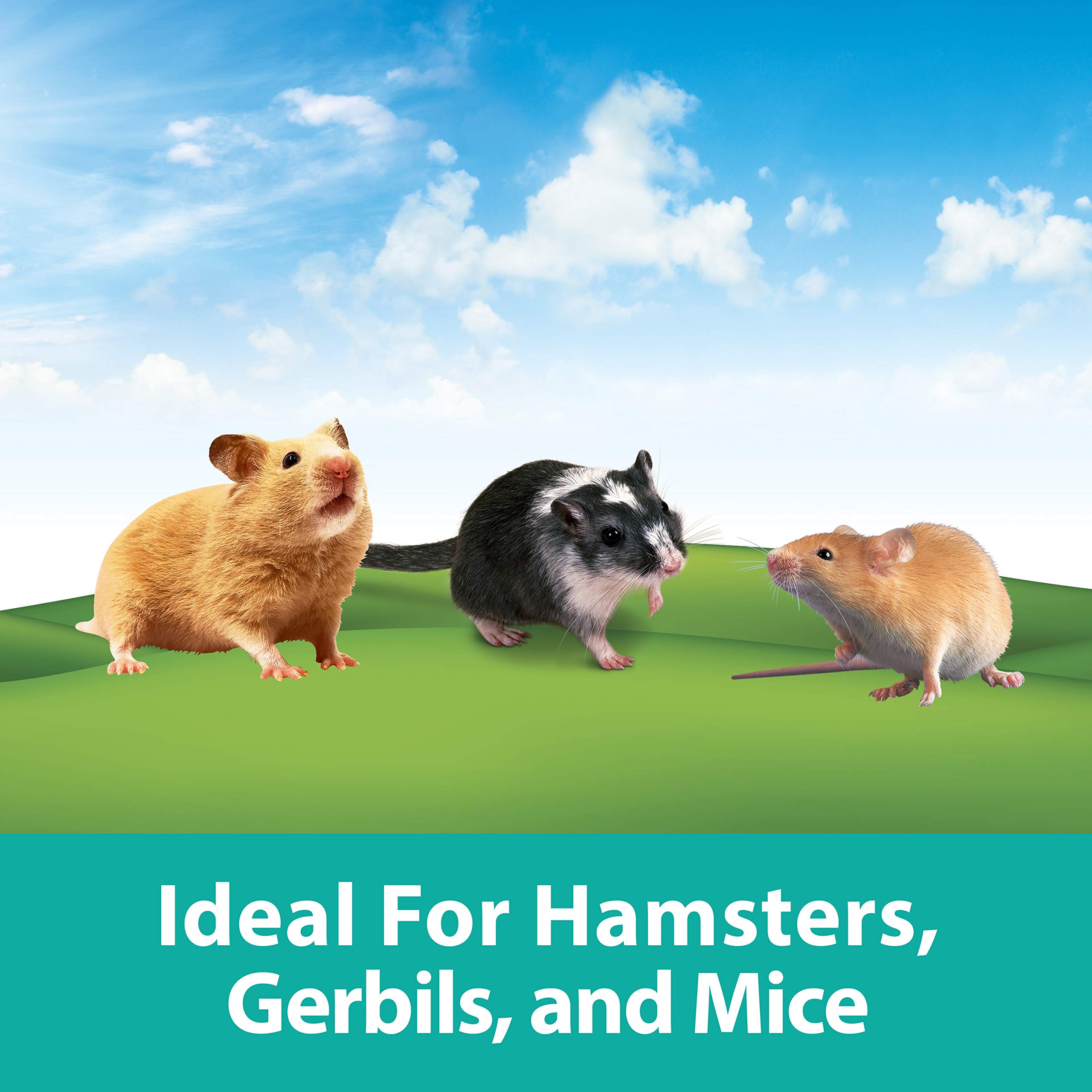 PI LARGE VALUE PACK CRITTER TRAIL