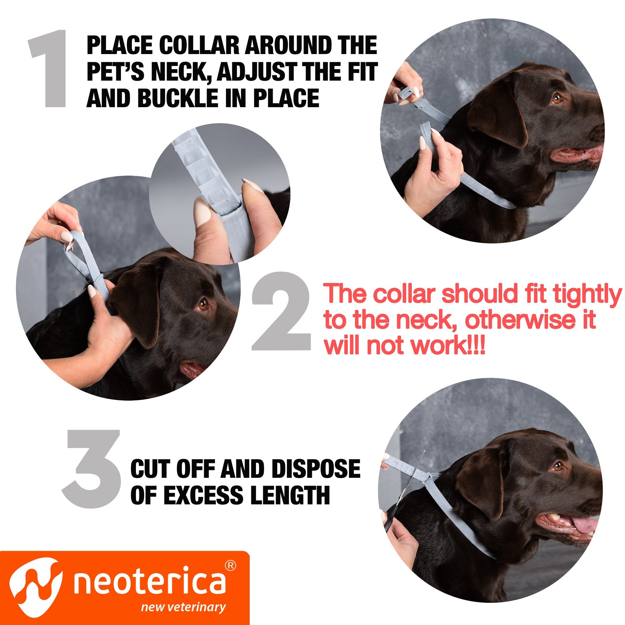 Natural Flea & Tick Collar for Dogs - 6 Months Control of Best Prevention & Safe Treatment - Anti Fleas and Ticks Essential Oil Repellent (1 Count (Pack of 1)) -Like New