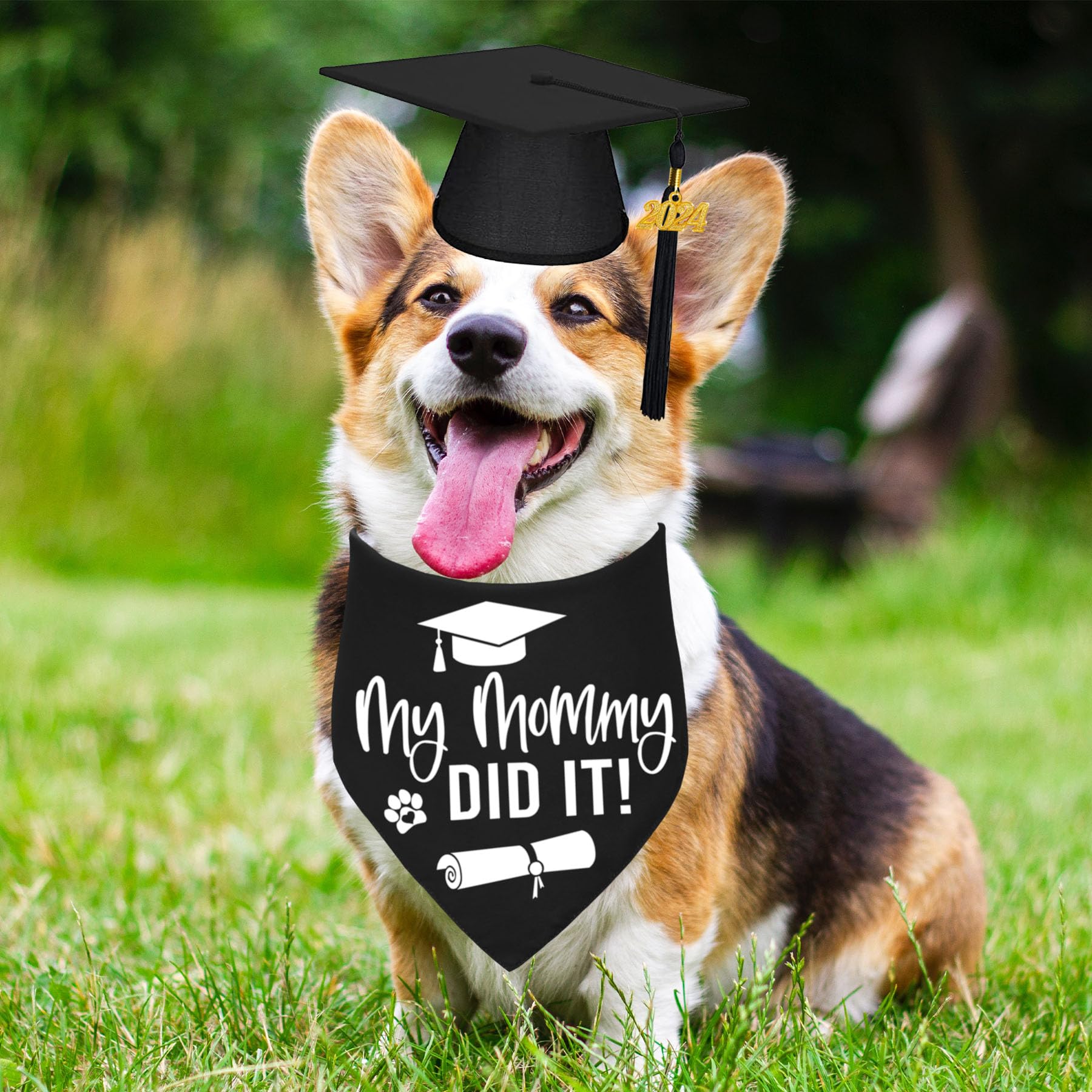 Stmk Dog Graduation Cap Bandana, Graduation Dog Cap With 2024 Tassels Dog Graduation Outfits Gifts Graduation Bandana For Small Medium Large Dogs (Black, Cap & My Mommy Did It Bandana)