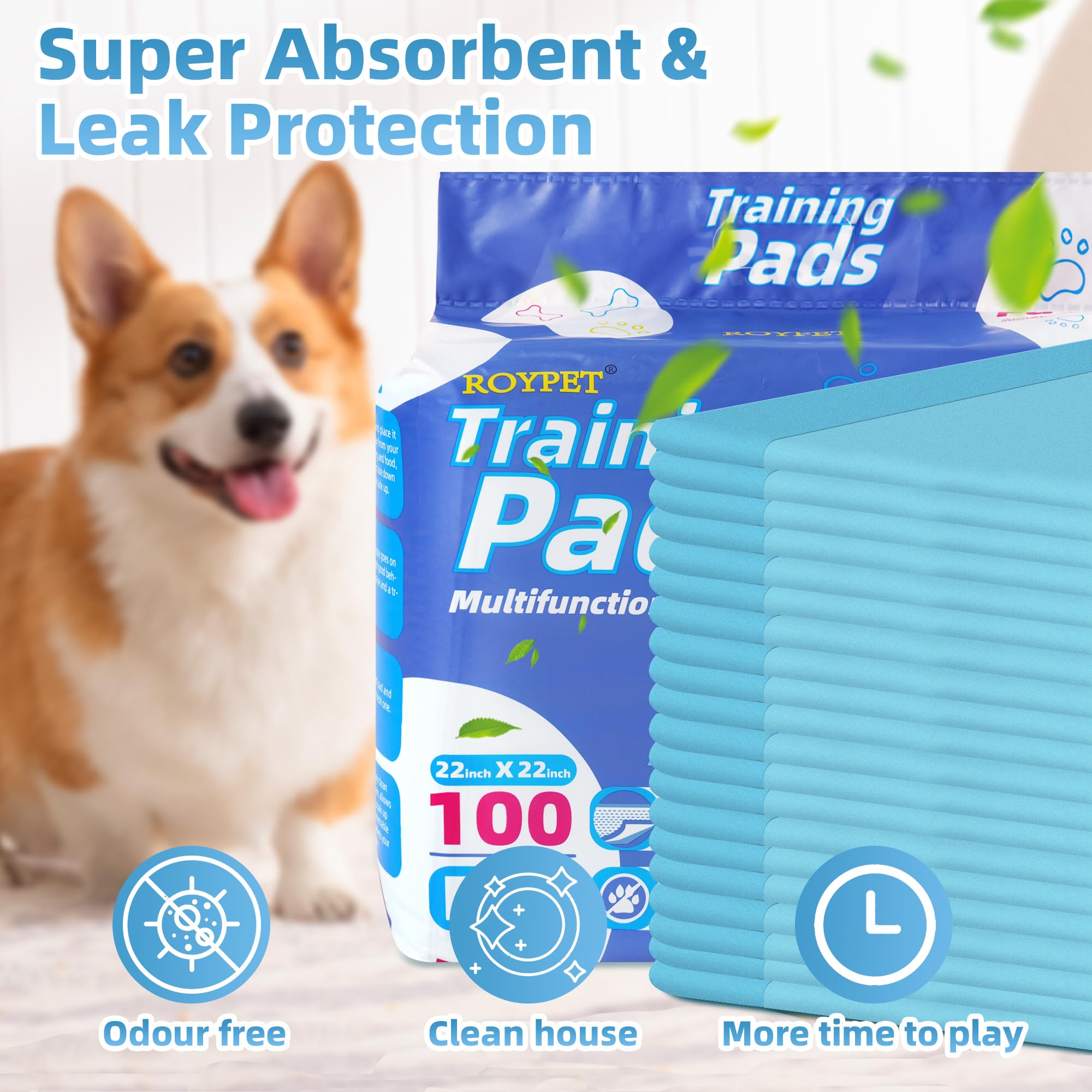 Roypet 22 x 22 Puppy Training Pads in Bag, 100-Count