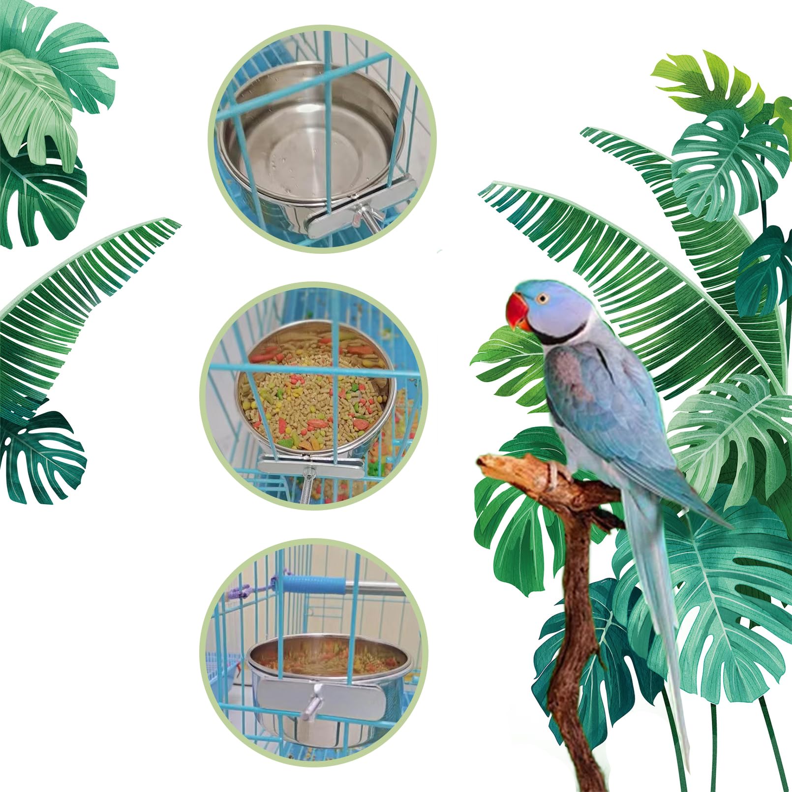 PINVNBY 6 Pieces Stainless Steel Bird Feeding Dish Cups,Parrot Feeder Parakeet Food Water Bowls with Clamp Holder & 6 Pcs Bird S