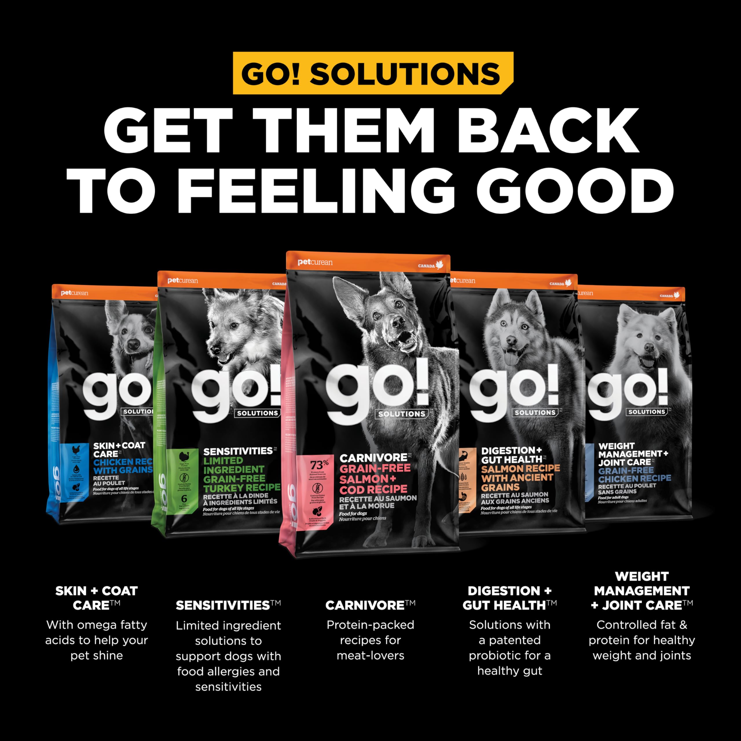 Go! Solutions Carnivore, Grain-Free, Protein Rich Dry Dog Food, Salmon and Cod Recipe, 12 lb Bag