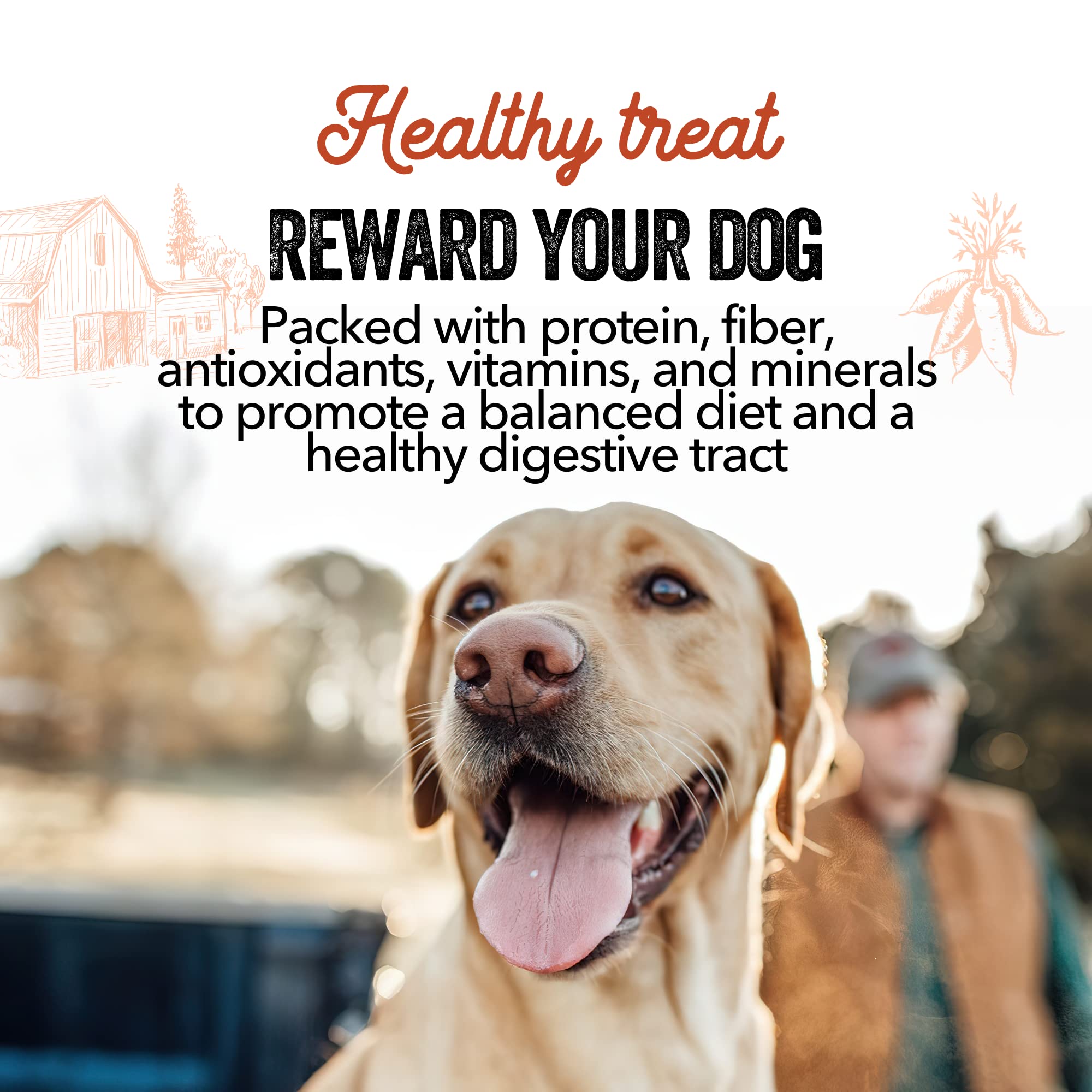 Gaines Family Farmstead Sweet Potato Chews for Dogs - 8 oz Bag, Single Ingredient, Dehydeated Sweet Potato Dog Treats, High Fibe
