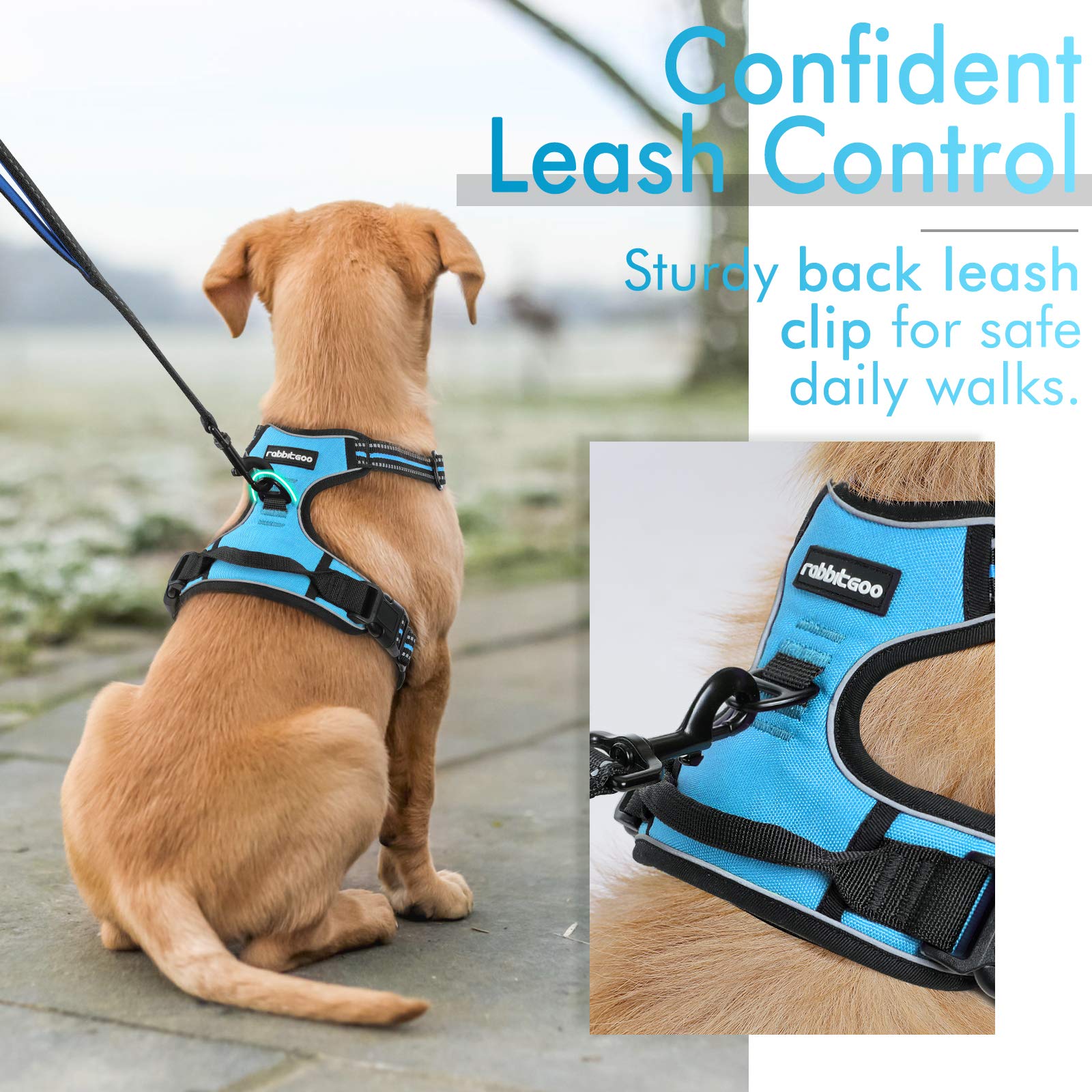 Rabbitgoo Dog Harness, No-Pull Pet Harness With 2 Leash Clips, Adjustable Soft Padded Dog Vest, Reflective No-Choke Pet Oxford Vest With Easy Control Handle For Small Dogs, Blue, S