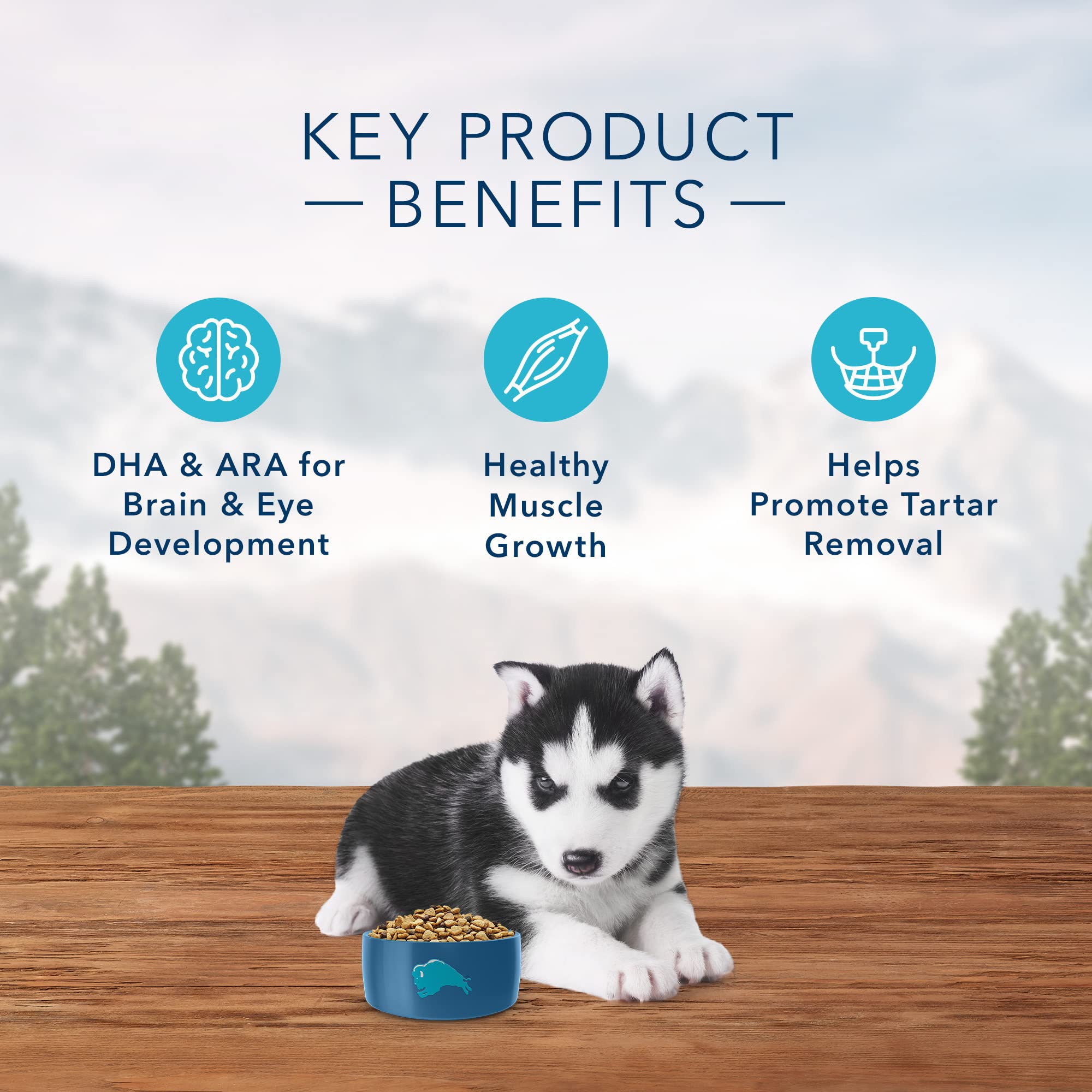 Blue Buffalo Wilderness High Protein, Natural Puppy Dry Dog Food, Chicken 11-lb