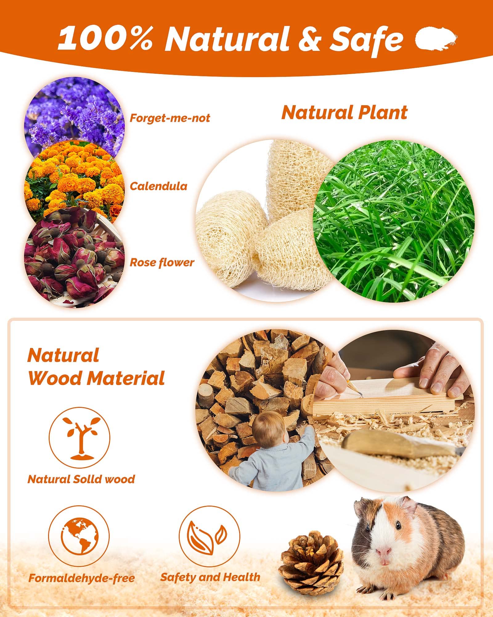 OVERTANG 18 Pcs Wooden Hamster & Guinea Pig Chew Toys, Natural Apple Wood Molar Toys for Small Animals, Exercise Accessories