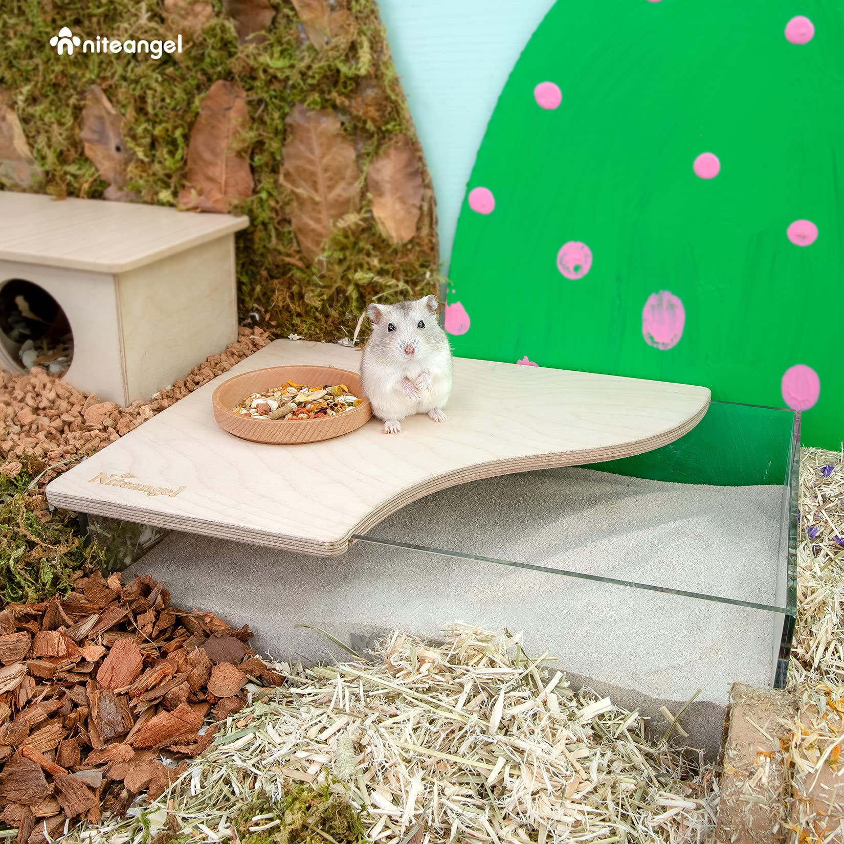 Niteangel Small Animal Sand-Bath Box: - Acrylic Critter'S Sand Bath Shower Room & Digging Sand Container For Hamsters Mice Lemming Gerbils Or Other Small Pets (Rectangle, Birch-Wood)