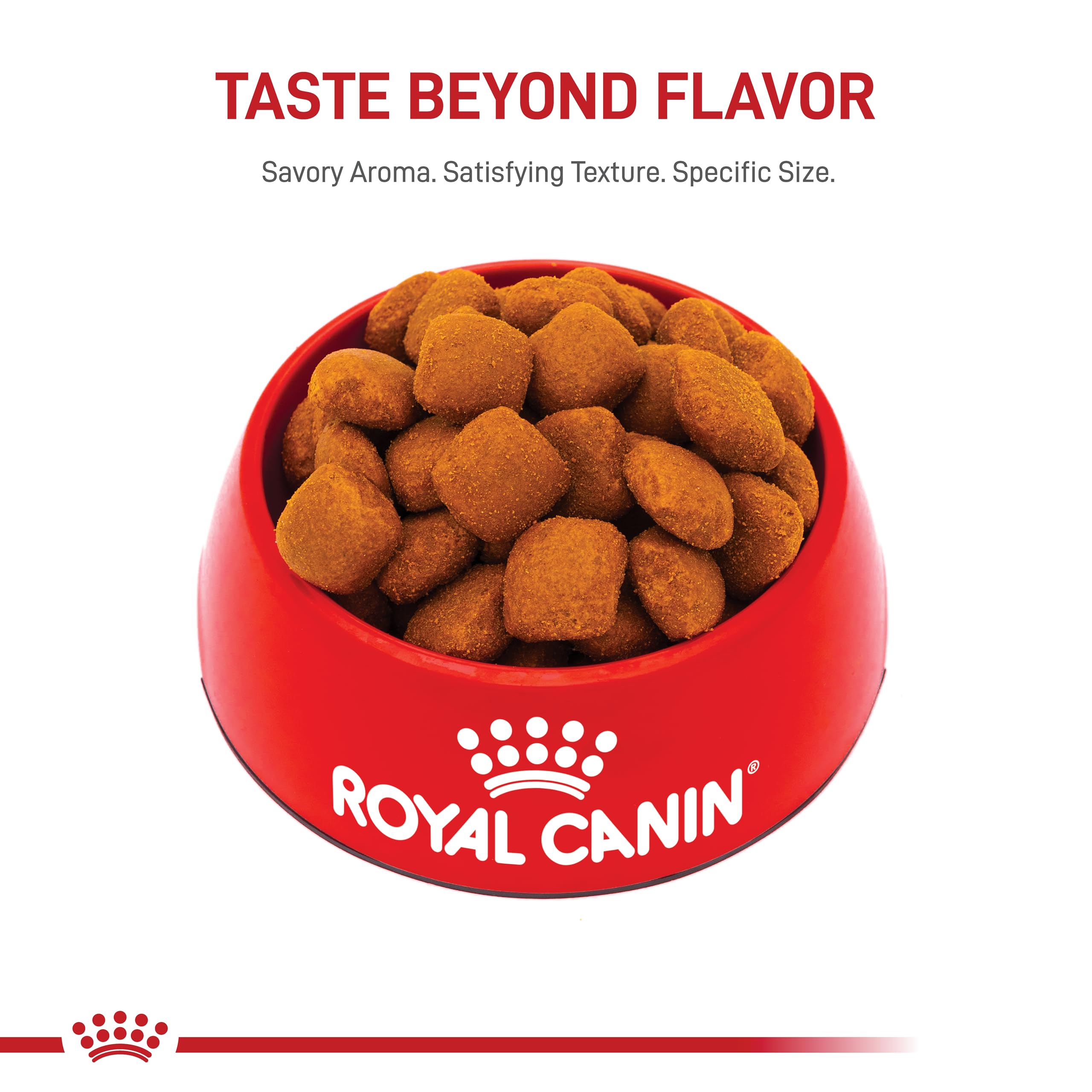 Royal Canin Size Health Nutrition Giant Adult Dog Food Dry, Extra-Large Dog Food Supports Bone and Joint Health, Digestive Healt