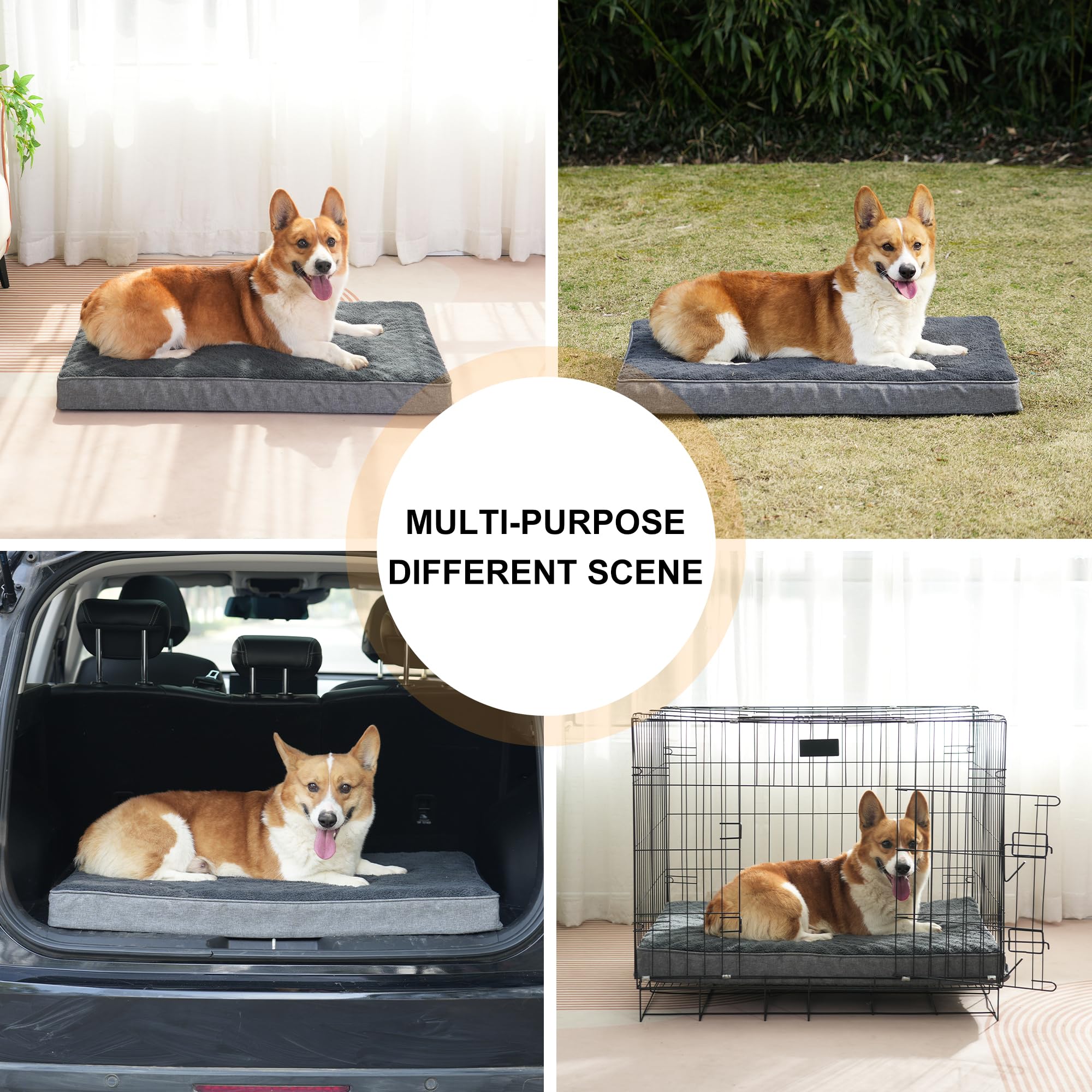 Softhola Orthopedic Dog Bed For Small/Medium Dogs, Mat With Removable Washable Cover & Anti-Slip Bottom, Egg Crate Foam - 30 X 2