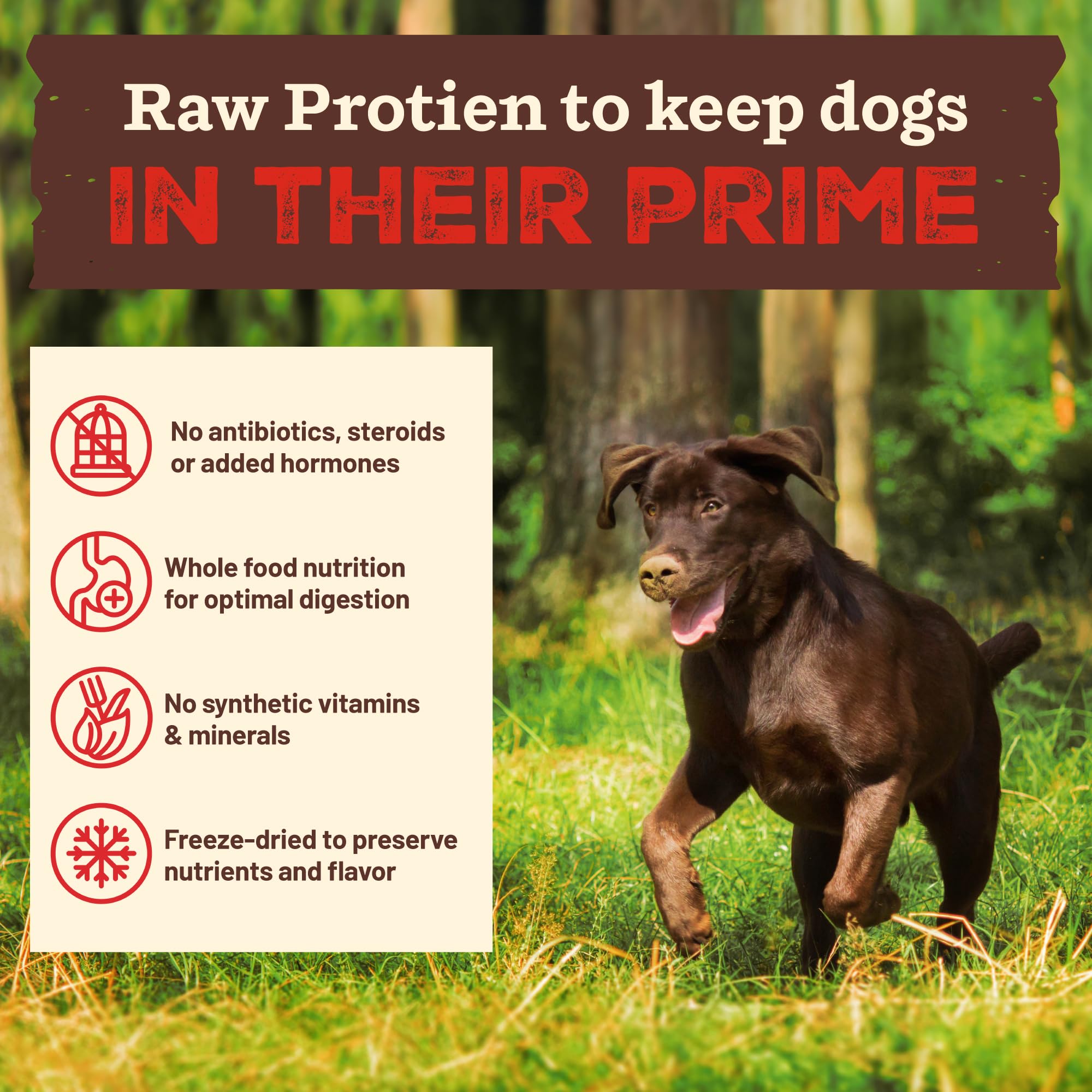 Primal Kibble in The Raw, Freeze Dried Dog Food, Chicken, Scoop & Serve, Made with Raw Protein, Whole Ingredient Nutrition, Craf