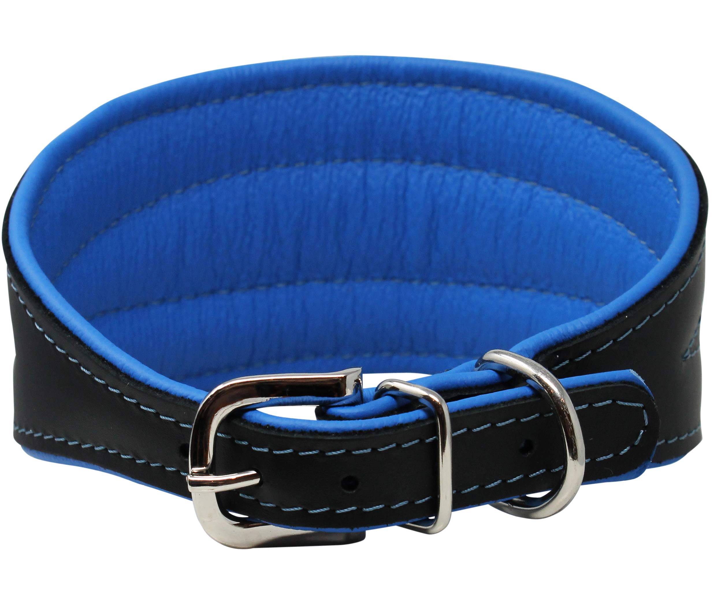 Real Leather Extra Wide Padded Tapered Dog Collar Glossy Black Greyhound Saluki Deerhound Lurcher Whippet Dachshund (10-11.25 Ne