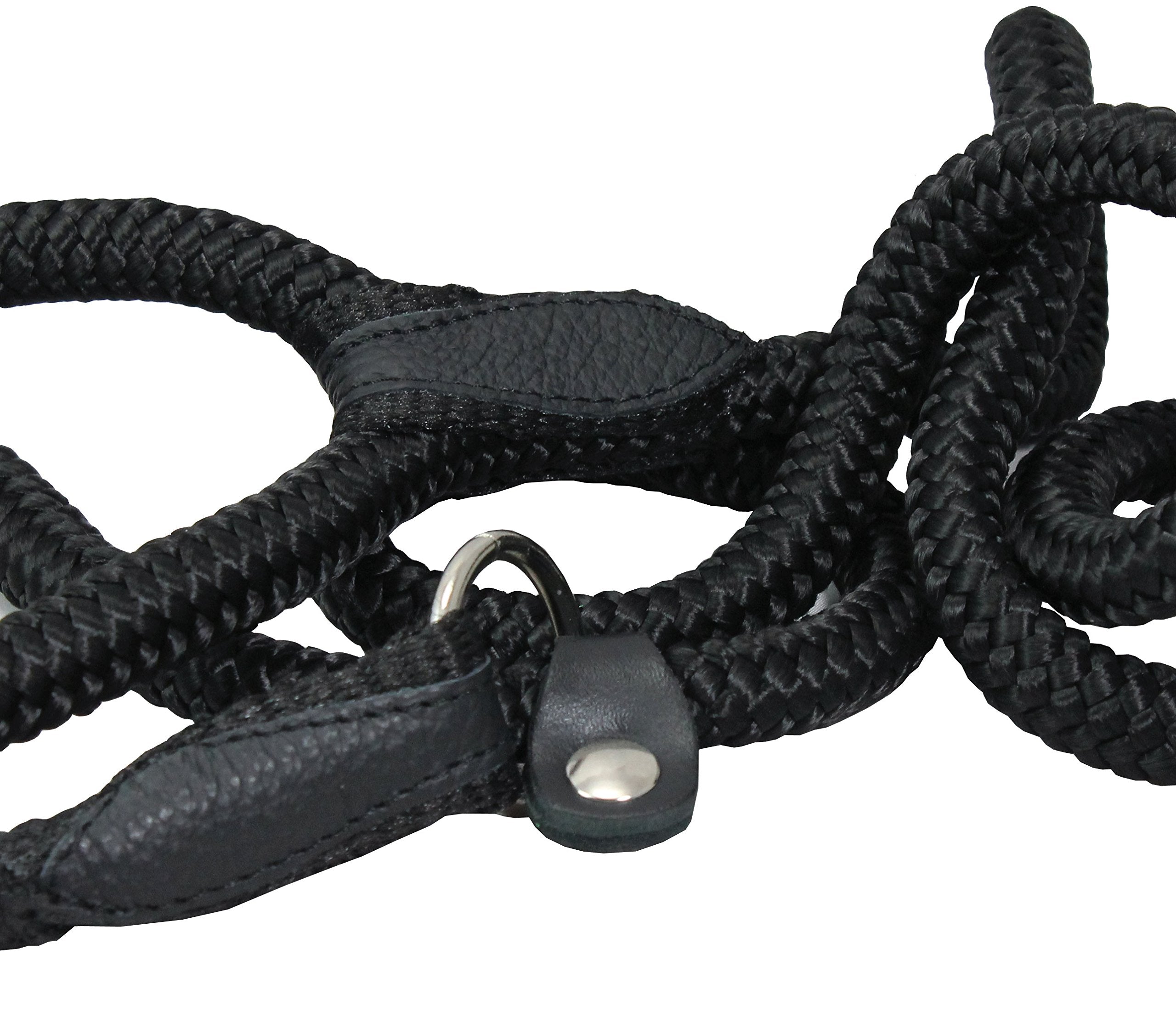 Dogs My Love Nylon Rope Slip Dog Lead Adjustable Collar And Leash 6Ft Long (Large: 0.4' (10Mm), Black)