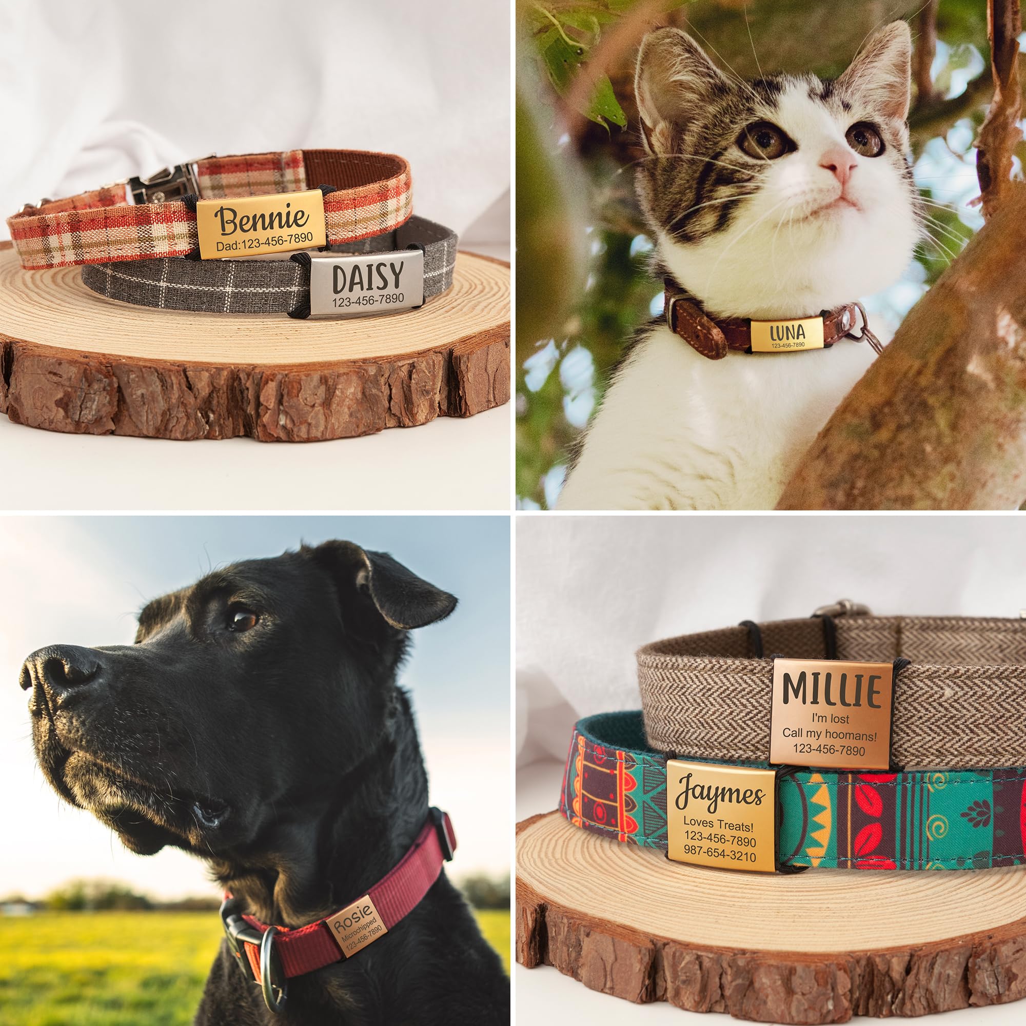 Anavia Slide On Silent Pet Id Tags, S/M/L/Xl Personalized Stainless Steel Cat Dog Tag With Elastic Fabric Band, Engraved Namepla