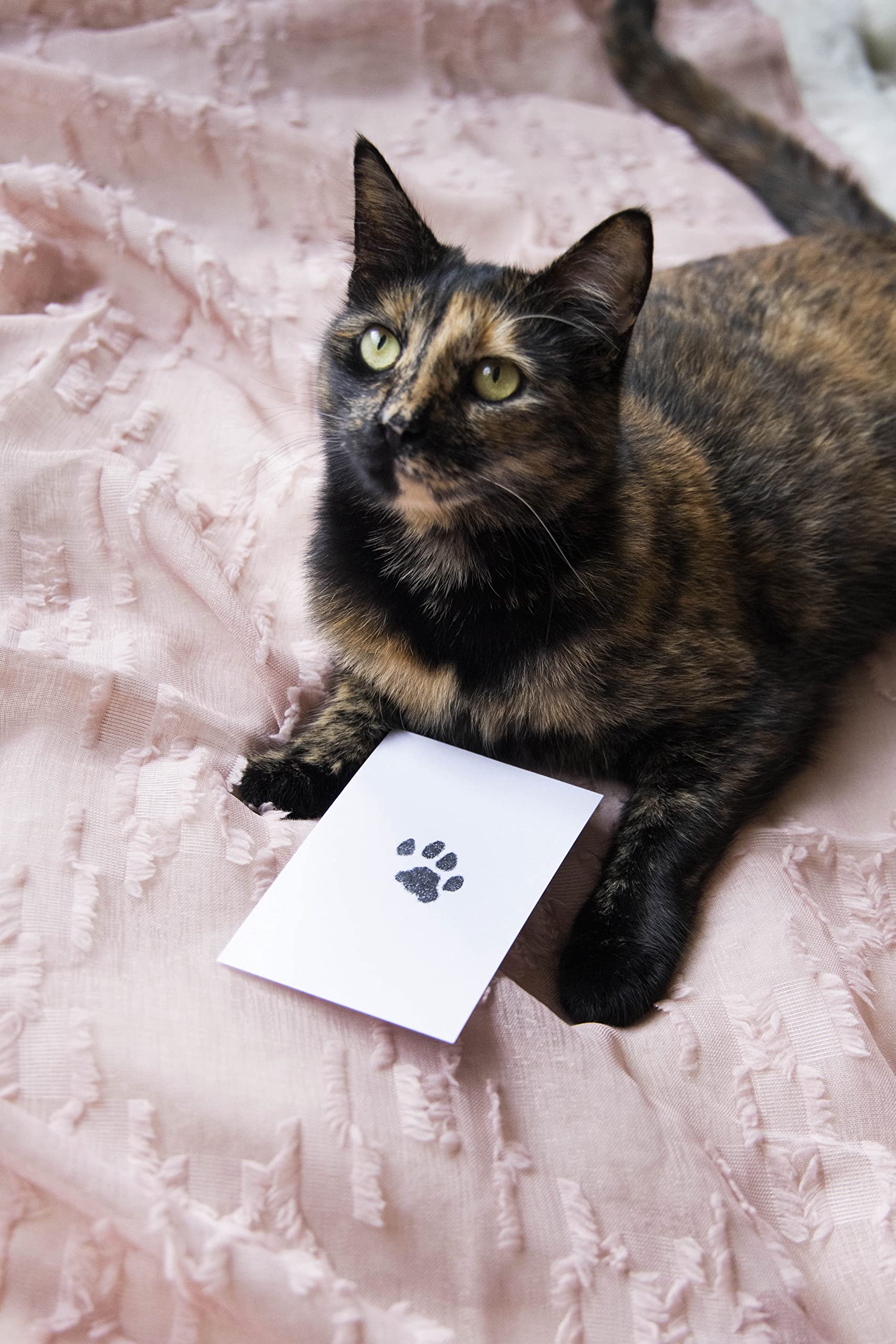 Pearhead S/M Paw Print Clean Touch Ink Pad, Dog Or Cat Pet Owner Keepsake, Diy Inkless Nose Print And Pawprint Impression Making Kit, Small/Medium