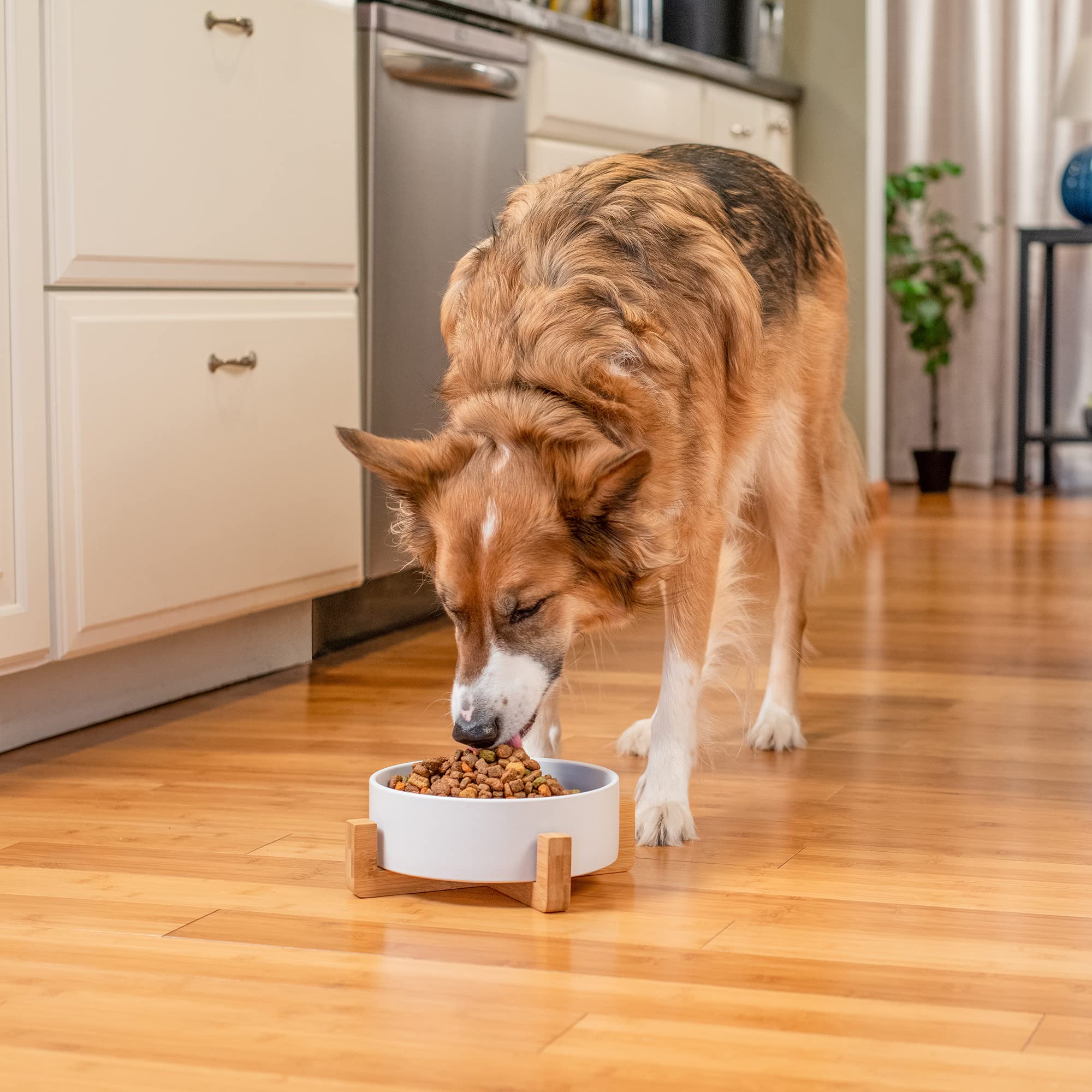 Nat & Jules Large White 8 Inch Stoneware Ceramic And Wood Pet Bowl With Stand