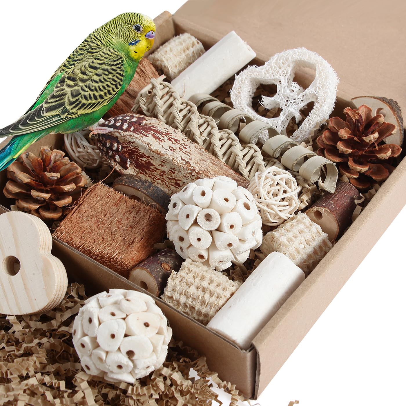 Kyouki Bird Toys Parrot Toys Natural Bird Foraging Box Foot For Parakeets,Cockatiels,Conures,Love Birds,And Other Small To Mediu