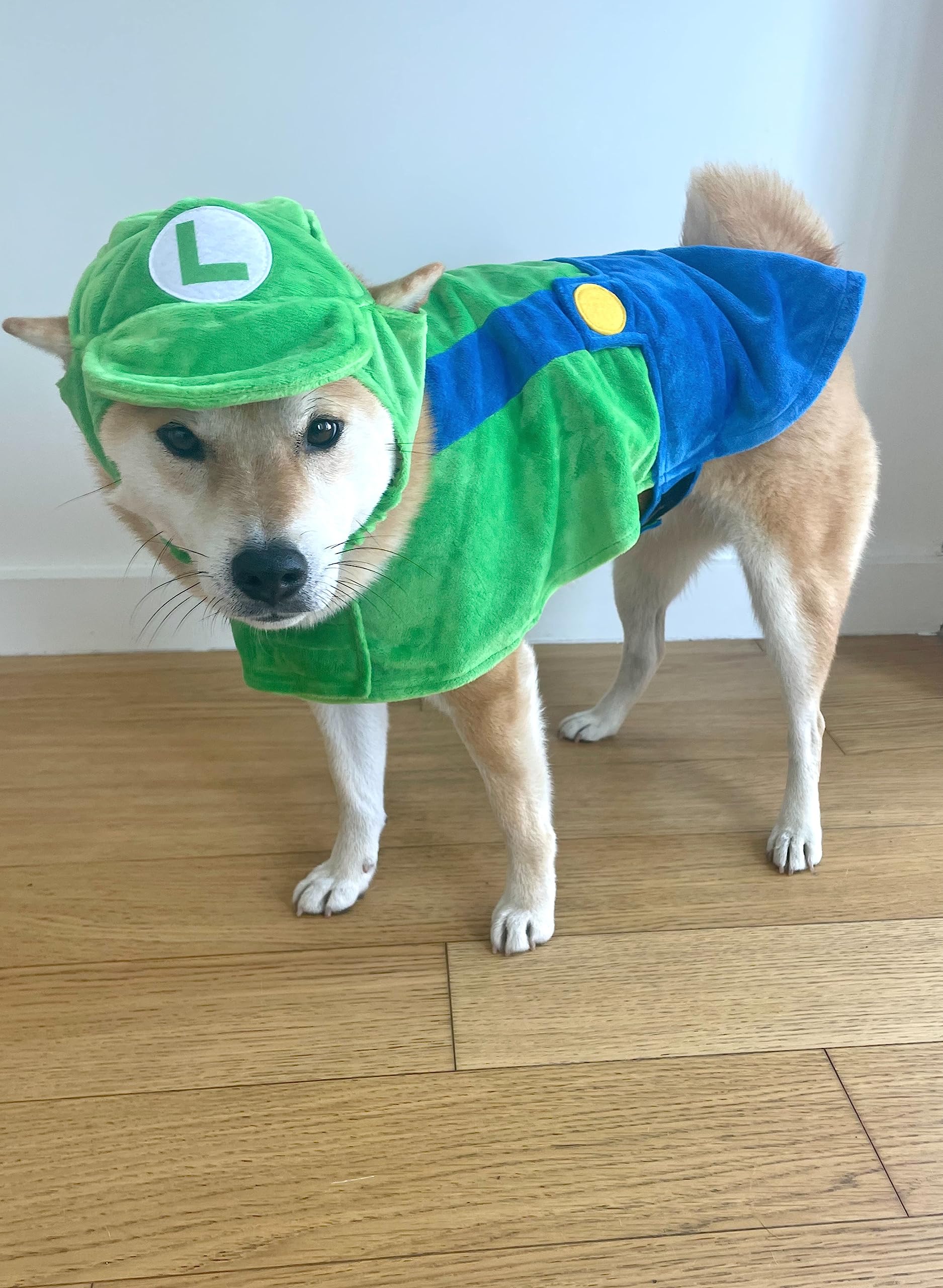 Comfycamper Hat And Suspenders Dog Costume - X Large Medium Small Lab Star Space Cosplay Halloween Costumes, Small, Green