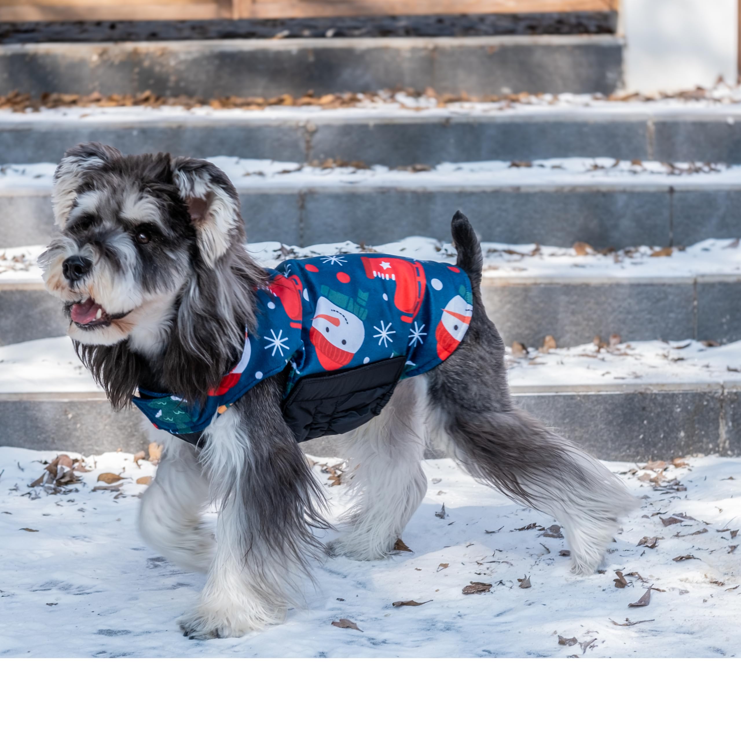 Cutebone Winter Dog Jacket Reversible Vest With Leash Hole - Windproof & Waterproof Small To Large Sizes Soft Winter Coat