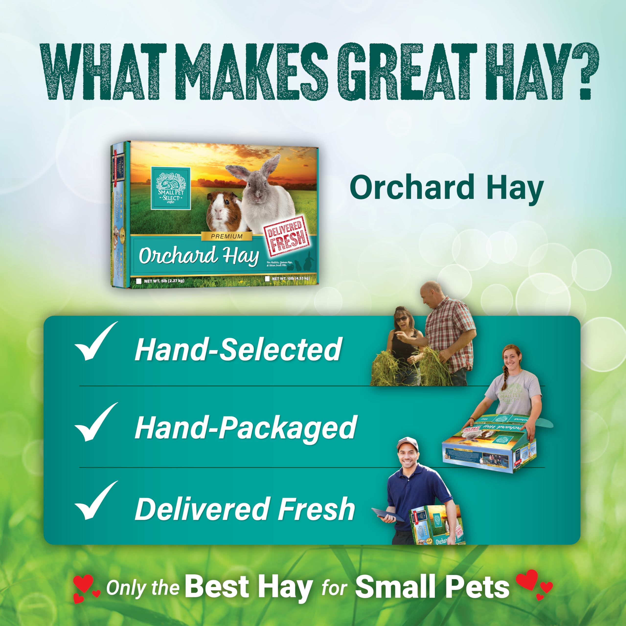 Small Pet Select Orchard Grass Hay Pet Food for Rabbits, Guinea Pigs, Chinchillas and Other Small Animals, Premium Natural Hay G