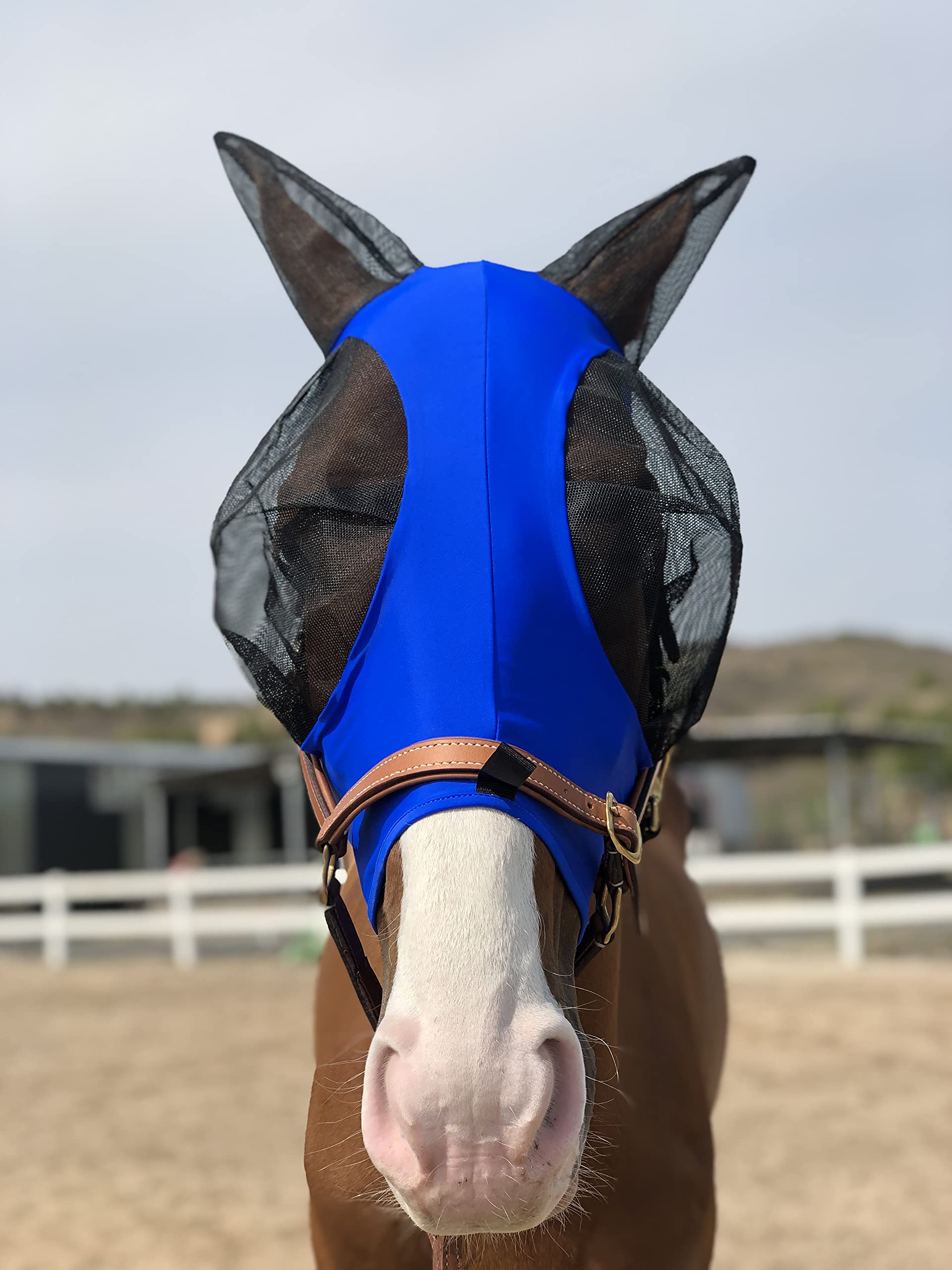 Horse Fly Mask Super Comfort Horse Fly Mask Elasticity Fly Mask with Ears We Only Make Products That Horses Like (Royal Blue, M)