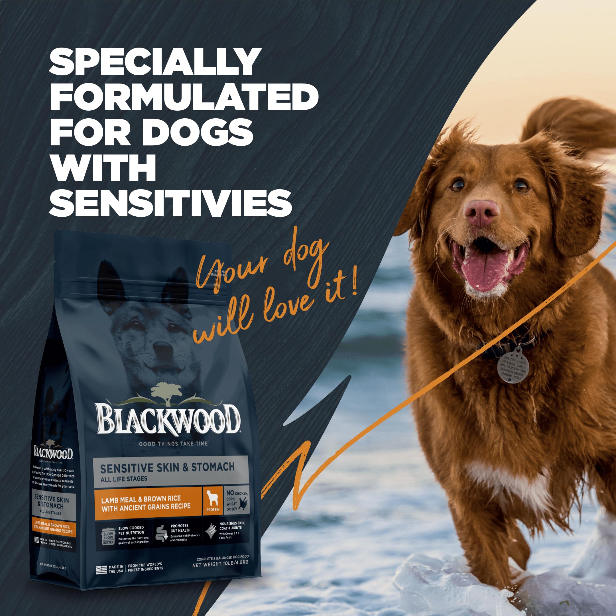 Blackwood Sensitive Skin & Stomach Dry Dog Food, Lamb Meal & Brown Rice with Ancient Grains, 10 Pound Bag with Prebiotics & Prob