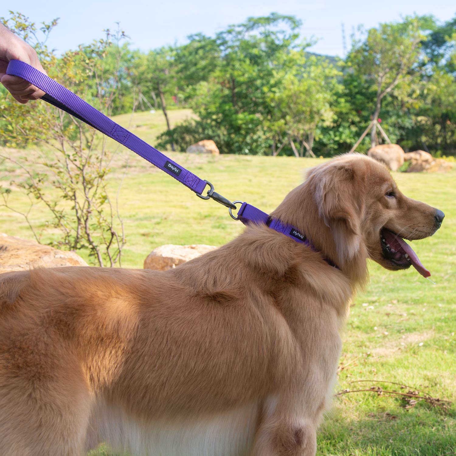 Hyhug Pets Premium Upgraded Heavy Duty Nylon Anti-Escape Martingale Collar for Boy and Girl Dogs Comfy and Safe - Daily Use Walk