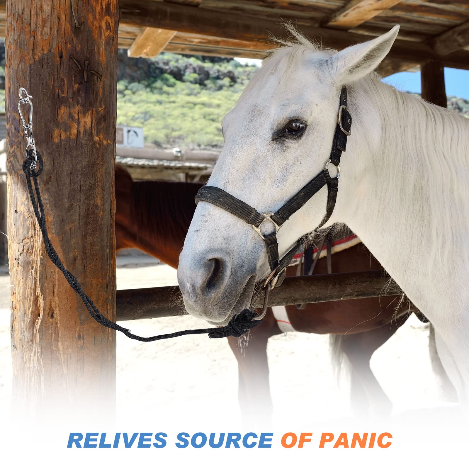 Nuenen Horse Tie Ring Stainless Steel Horse Tack And Supplies Safety Horse Accessories With Eye Bolts And Snaps Saddle Horse Training Equipment For Pulling Back, Silver (3 Sets)