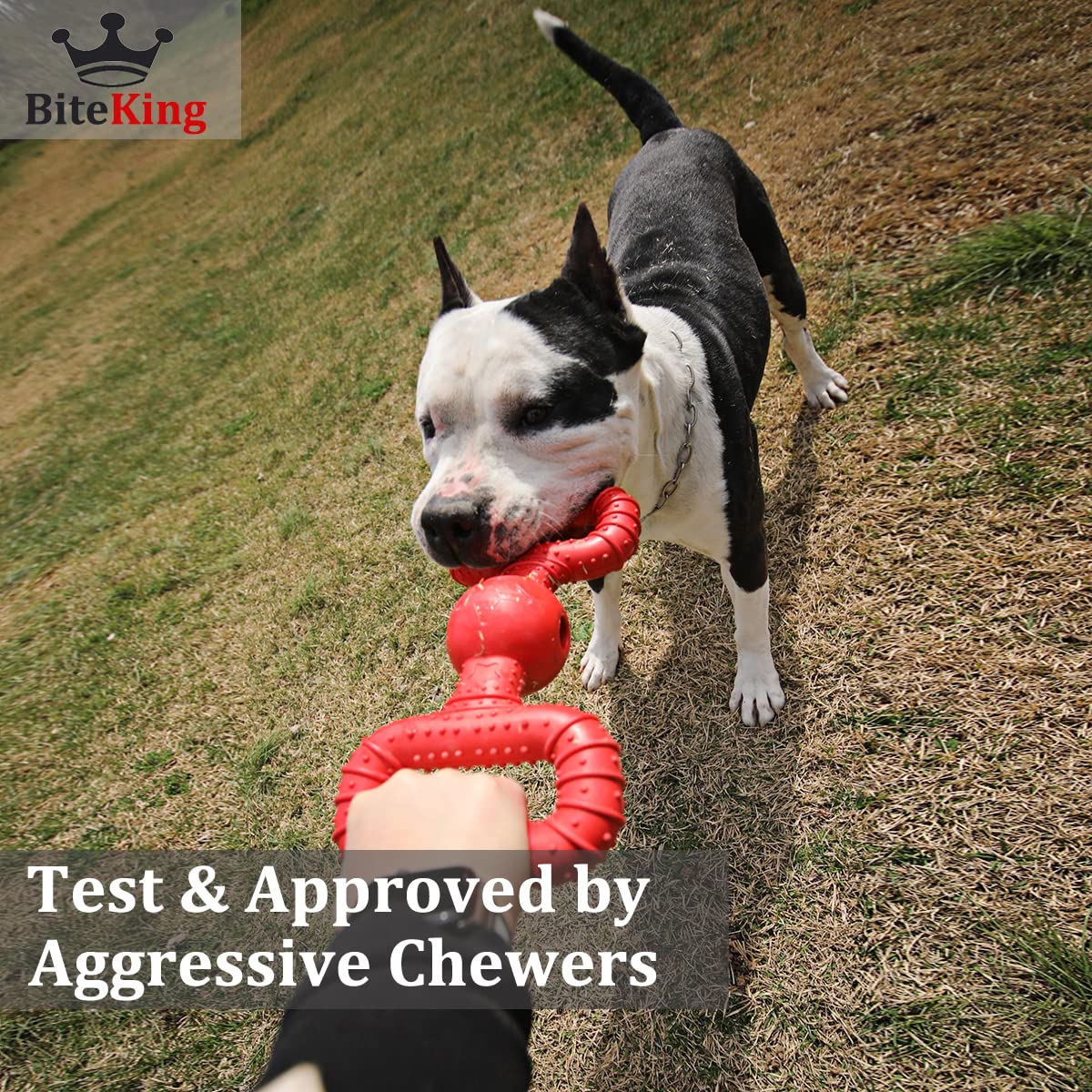 BiteKing Natural Rubber Dog Toys for Medium Aggressive Chewers - Lifetime Replacement - Tough Tug War Dog Toy for Medium Dogs To