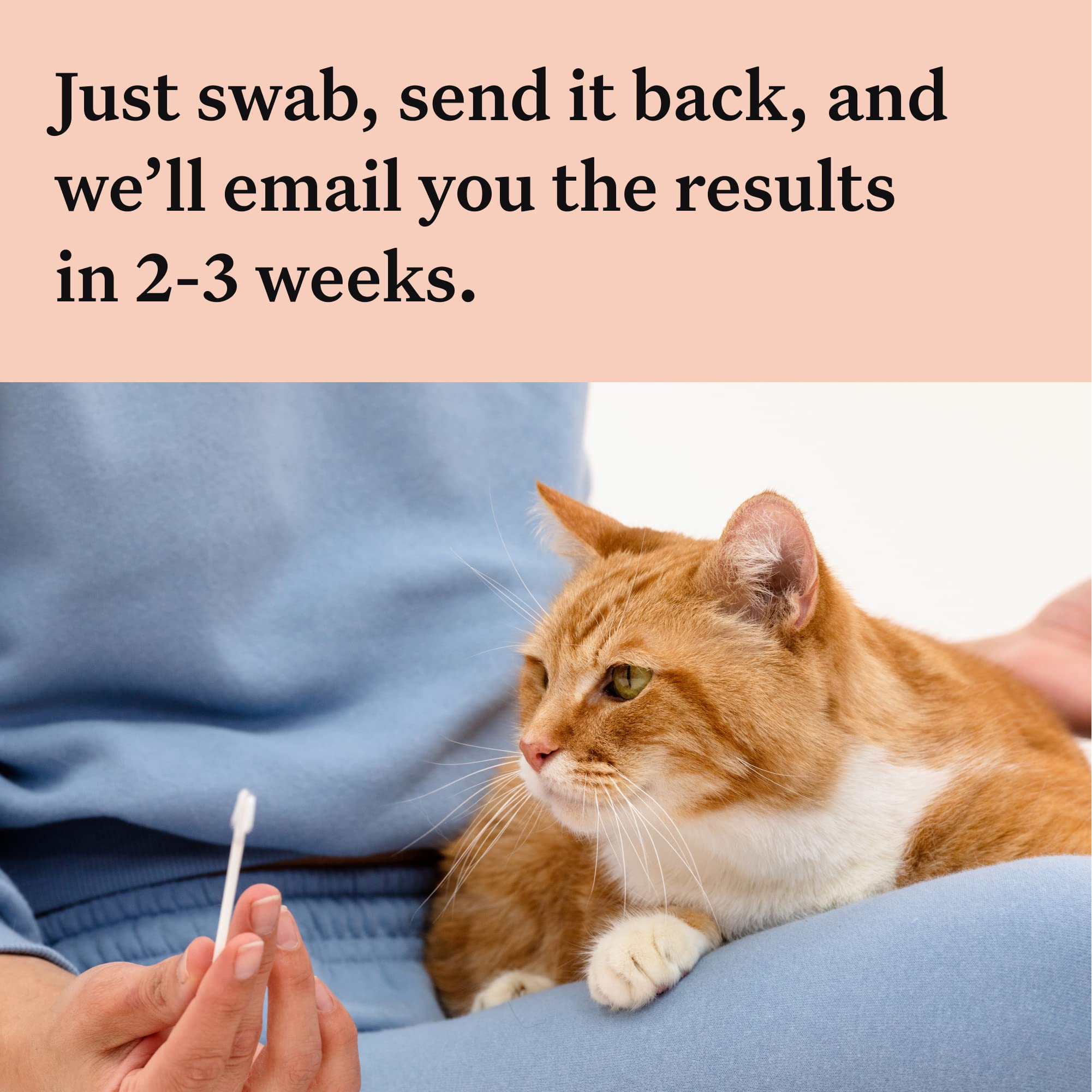 Wisdom Panel Complete: Comprehensive Cat DNA Test for 45 Health Genetic Health Conditions | 70+ Breeds and populations | 25+ Tra