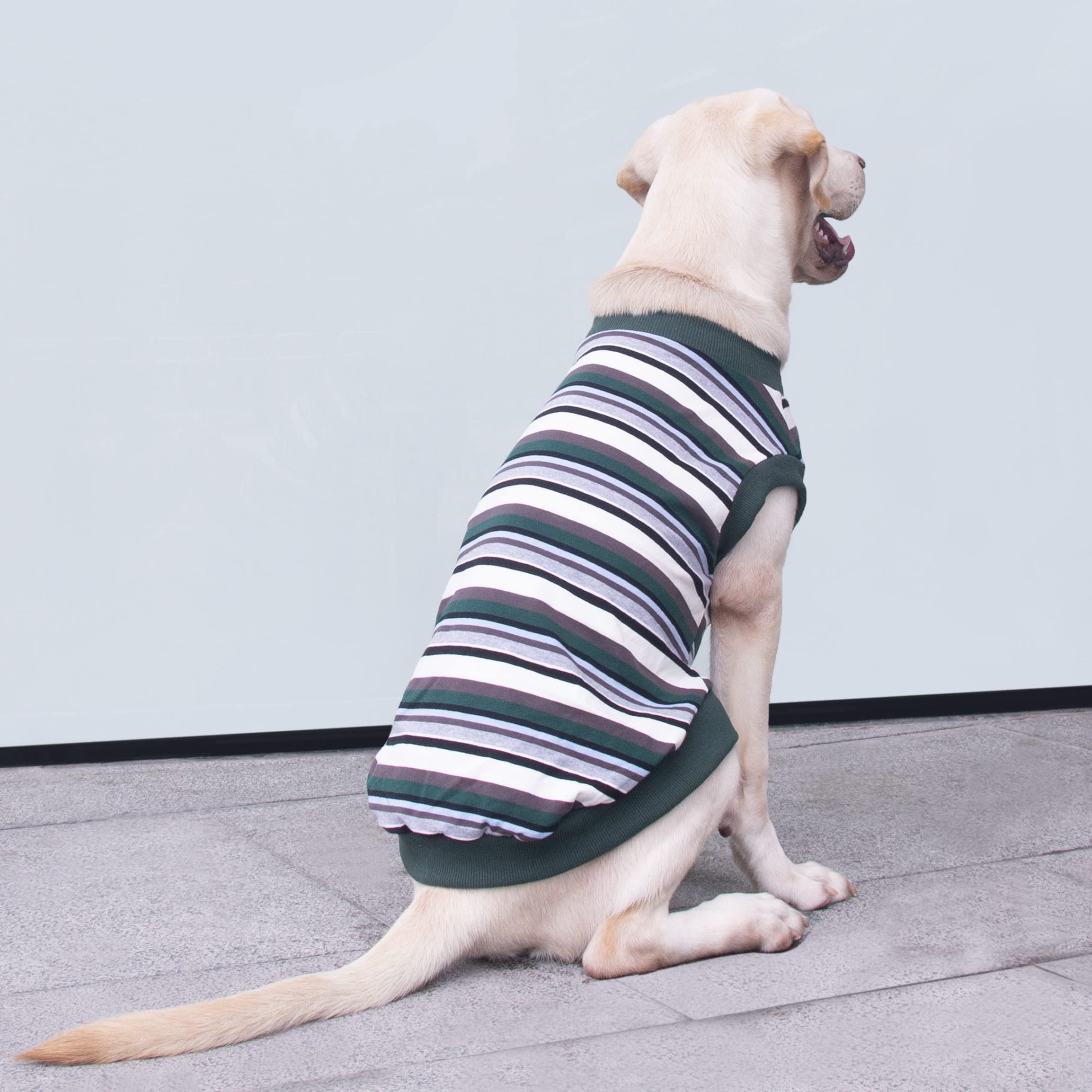 Arunners Extra Large Dog T Shirts Clothes Sleeveless Tank Top Vest For Labrador Rottweiler Great Dane, Green, 2X-Large