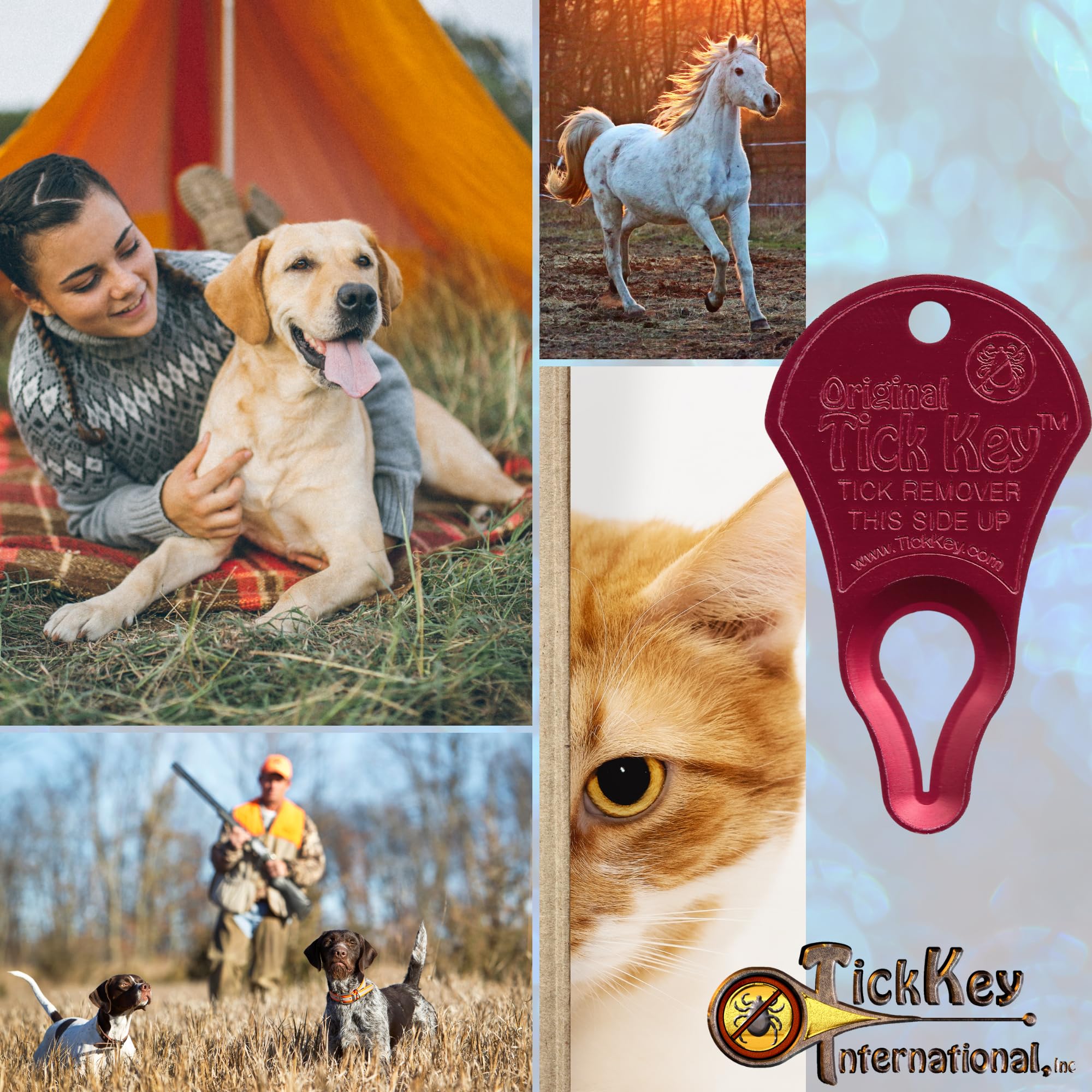 The Original Tick Key - Tick Detaching Device - Portable, Safe And Highly Effective Tick Detaching Tool (Red)